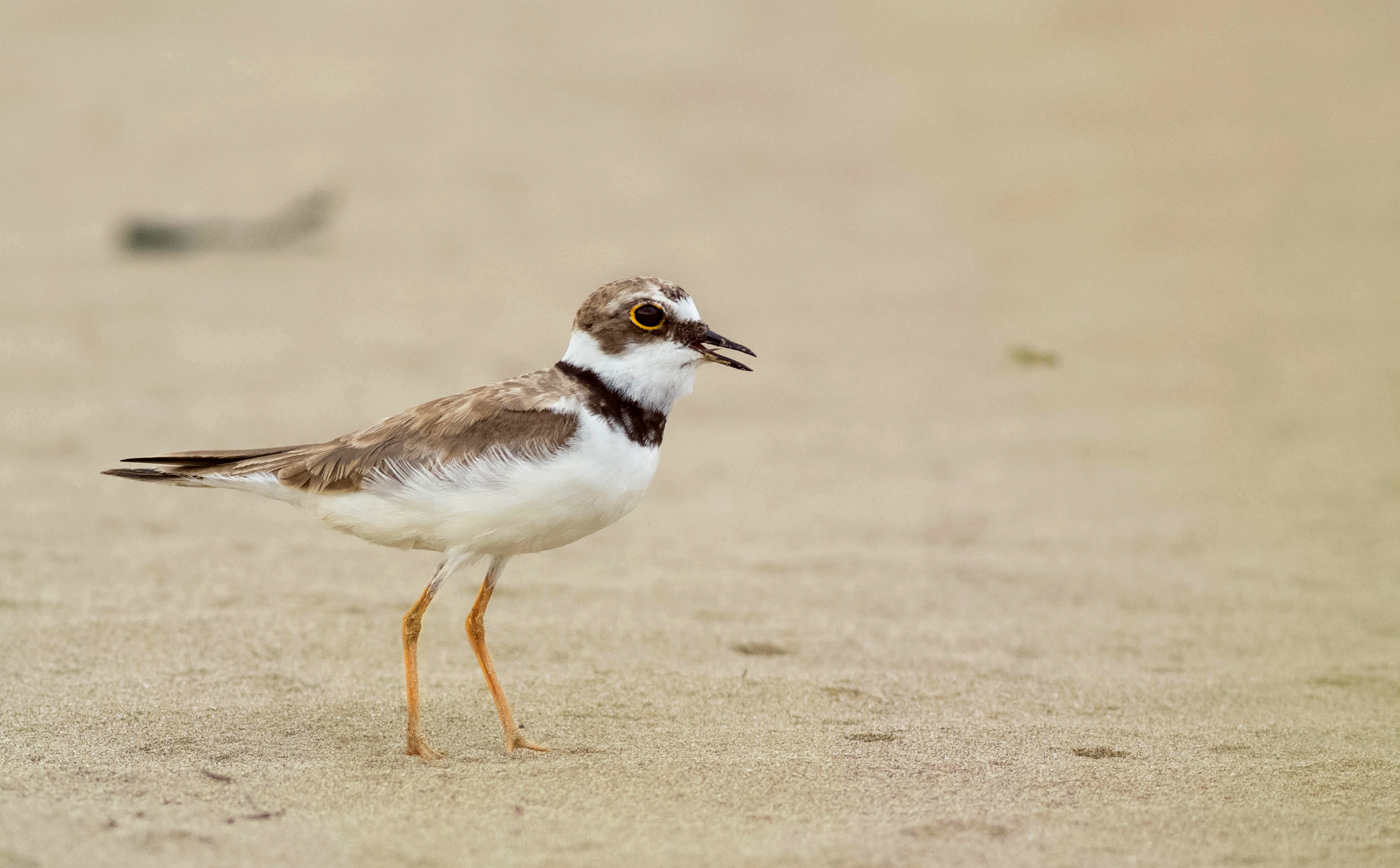 Fuori dalle scatole!!