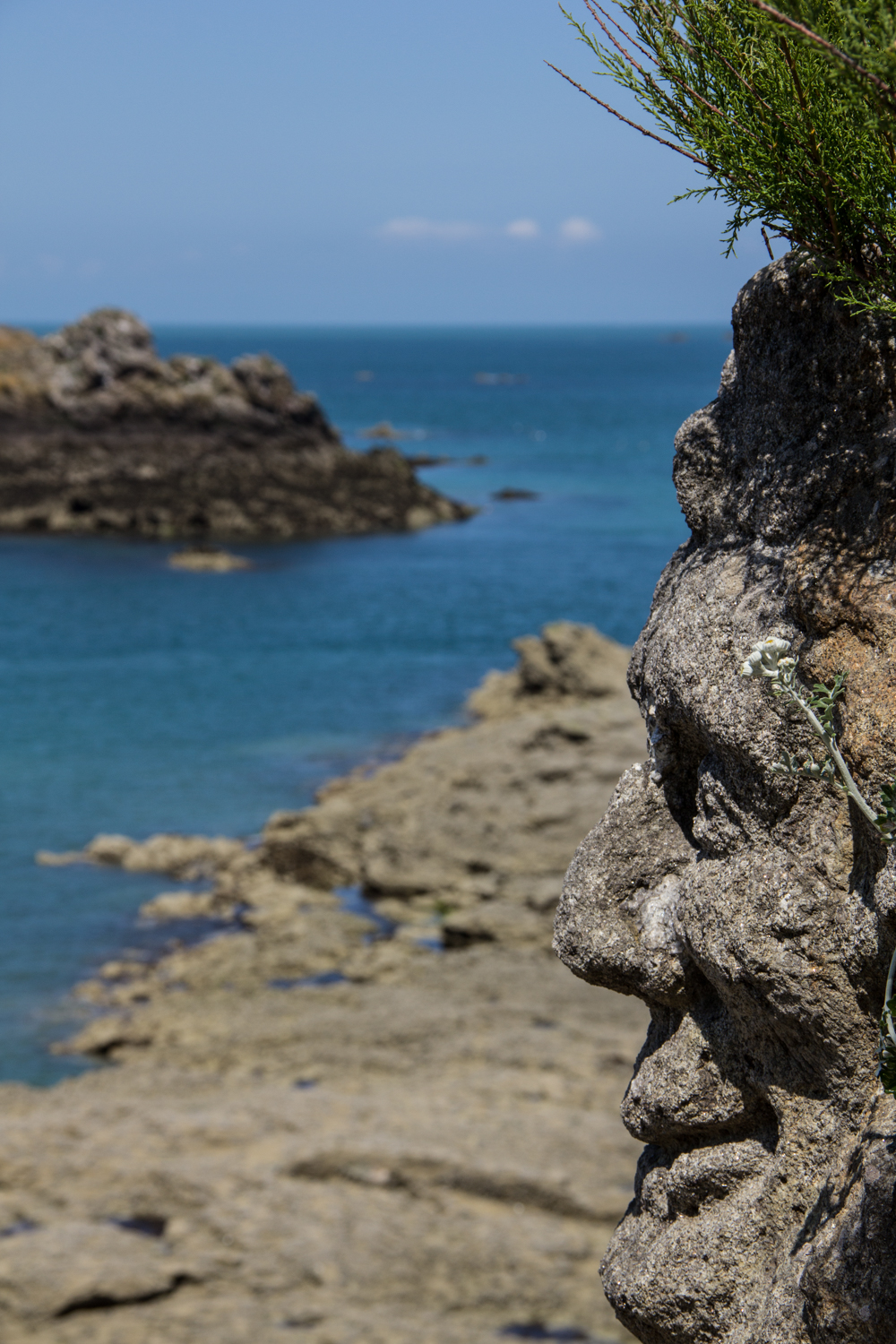 Rochers sculptés de Rothéneuf