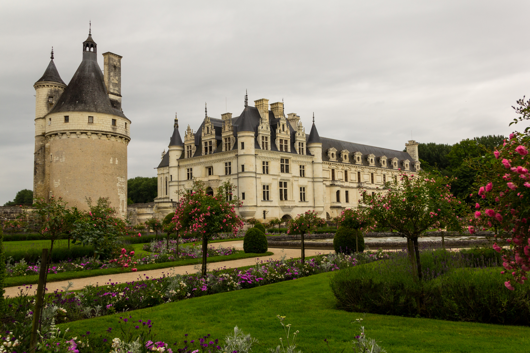 Les fleurs de Chenonceau