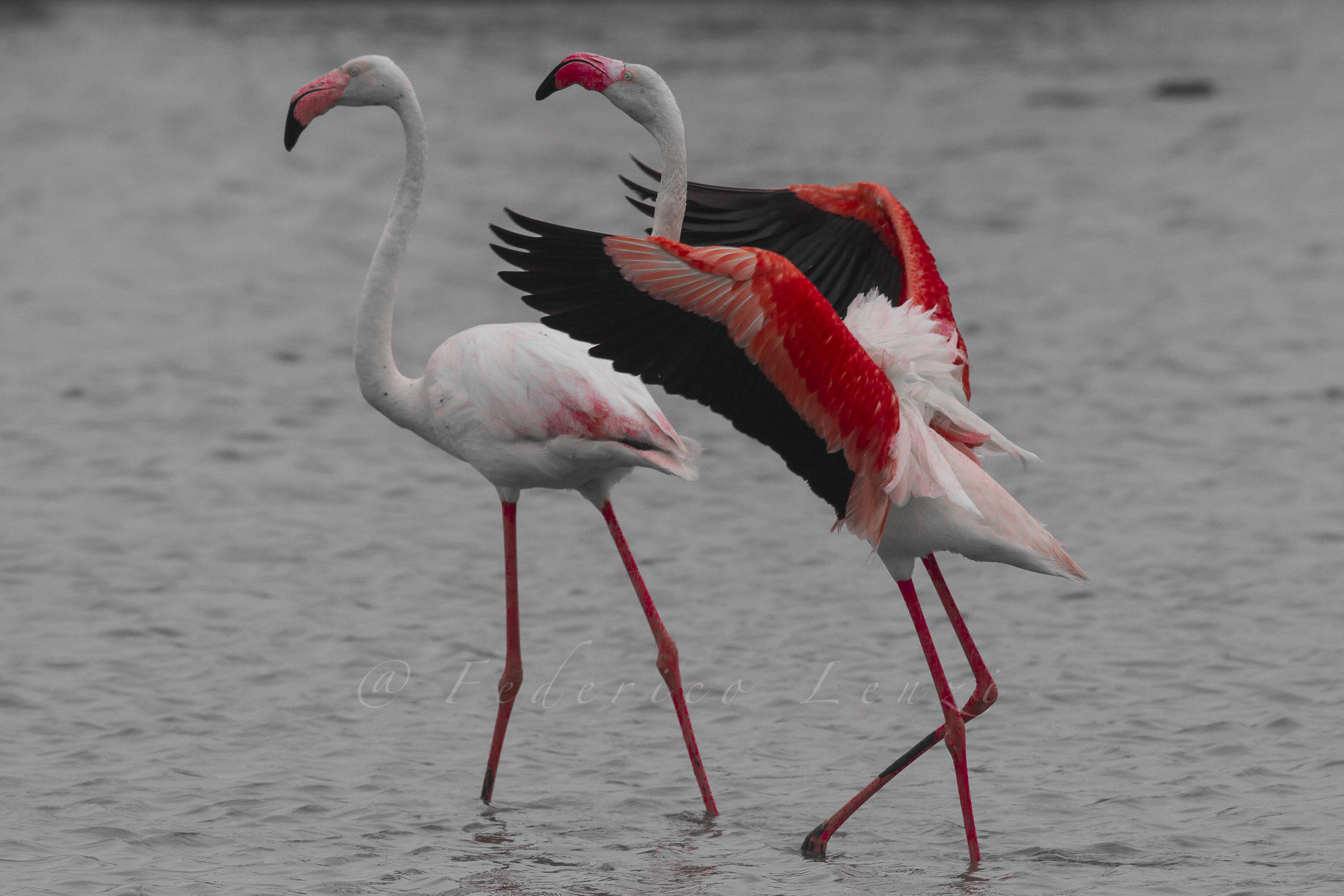 Take the hormone ...