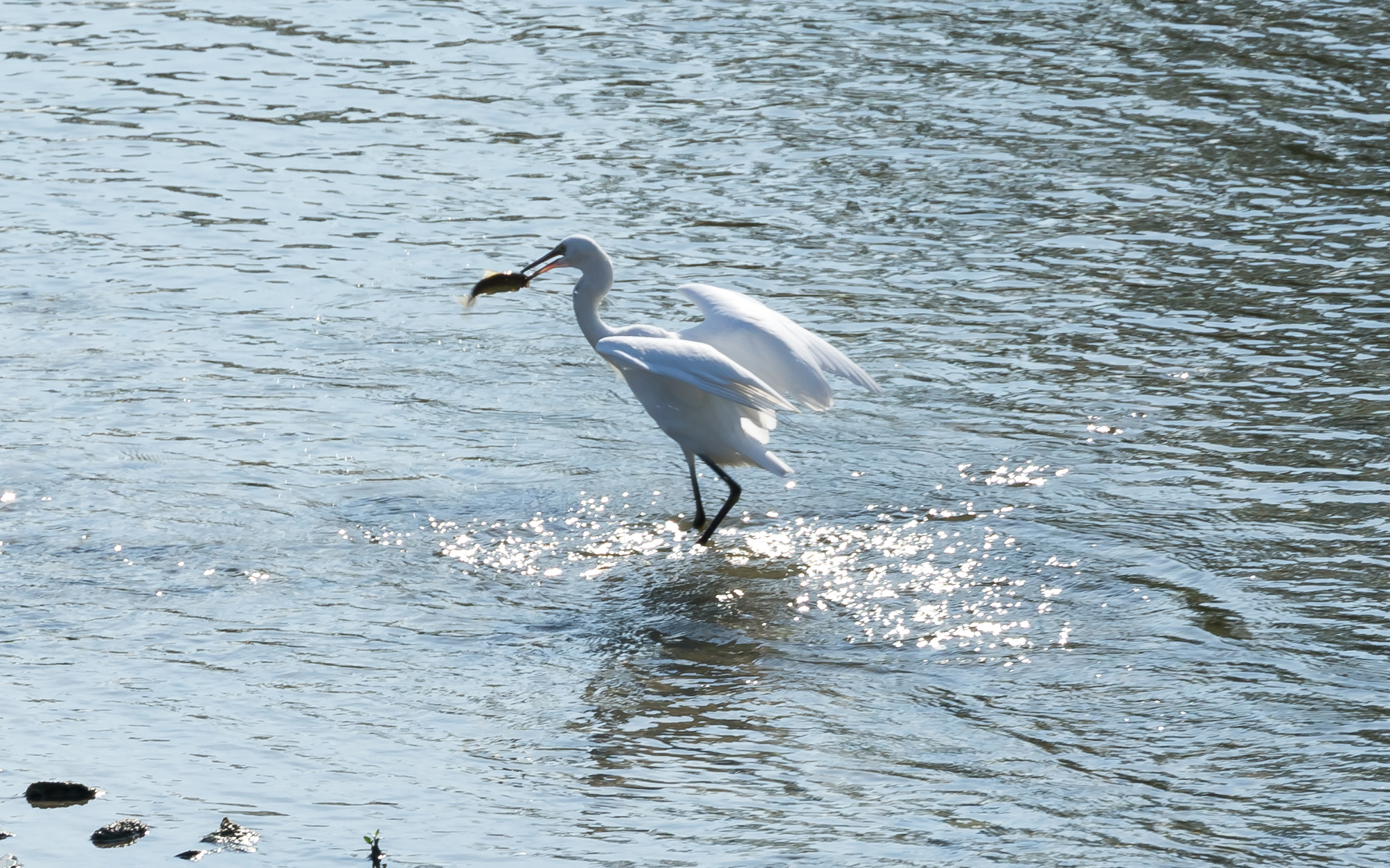 the best bite of the day