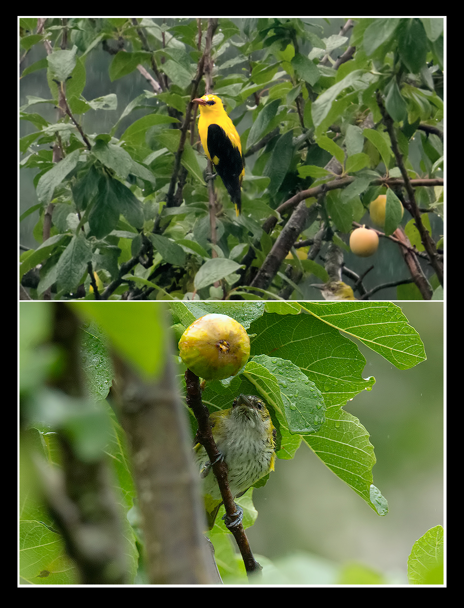 Under the Flood .... ..!