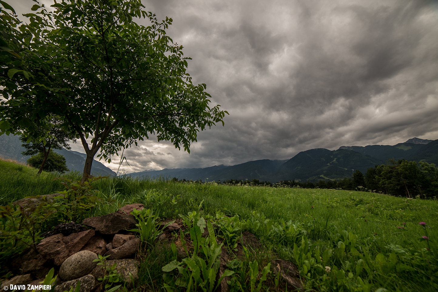 giornatina teribbbbbile