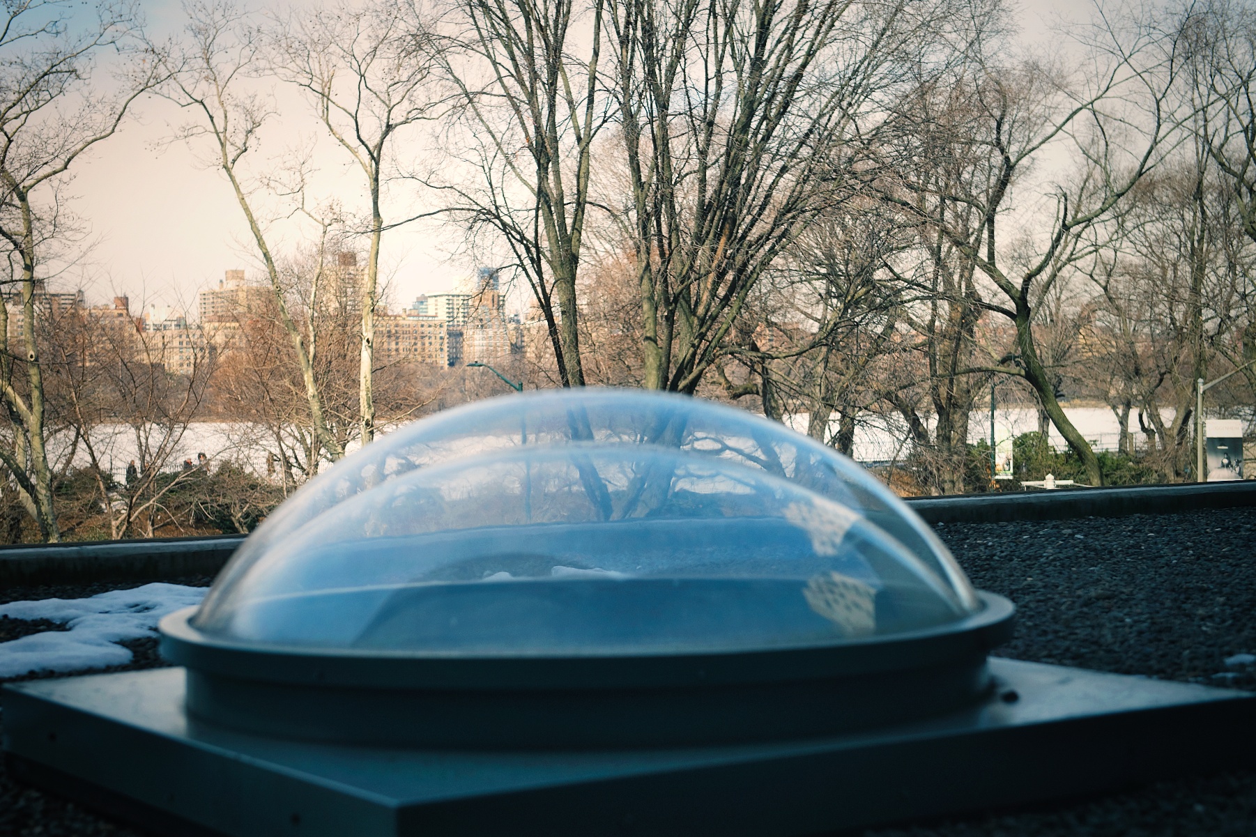 Vista di Central Park dal Guggenheim Museum