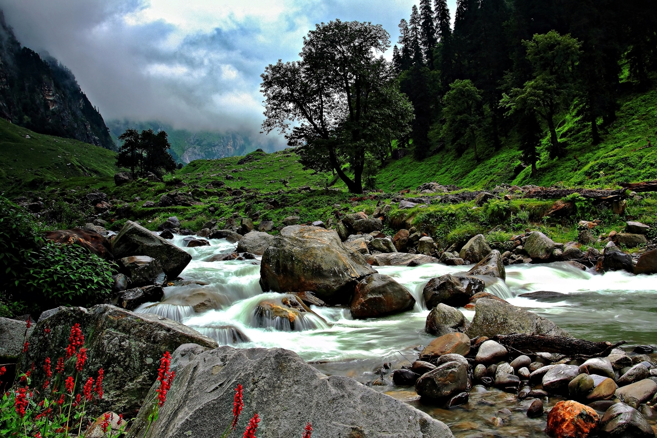 Hamta Trek, Manali