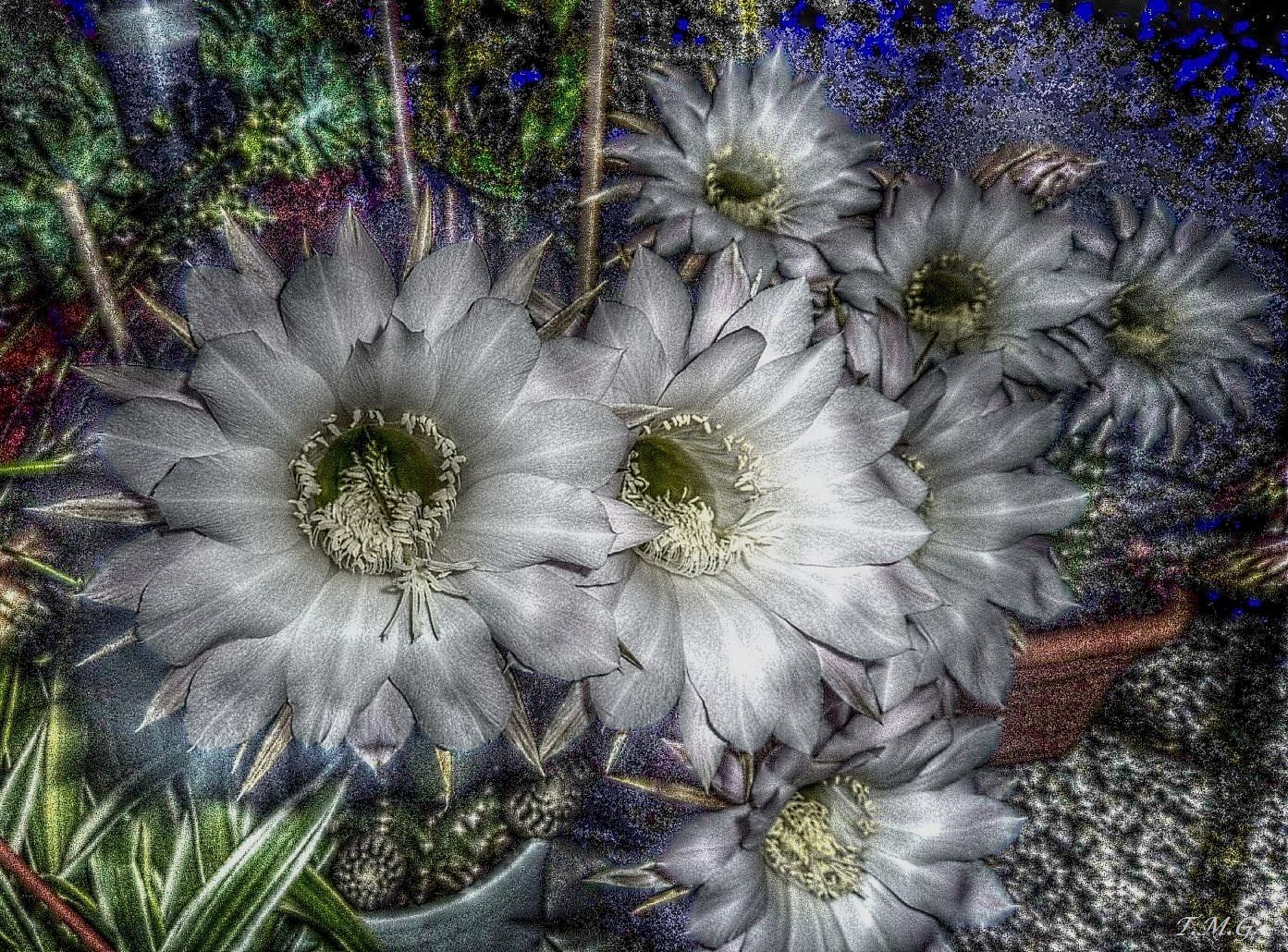 Piccoli occhi scrutano nel buio 1