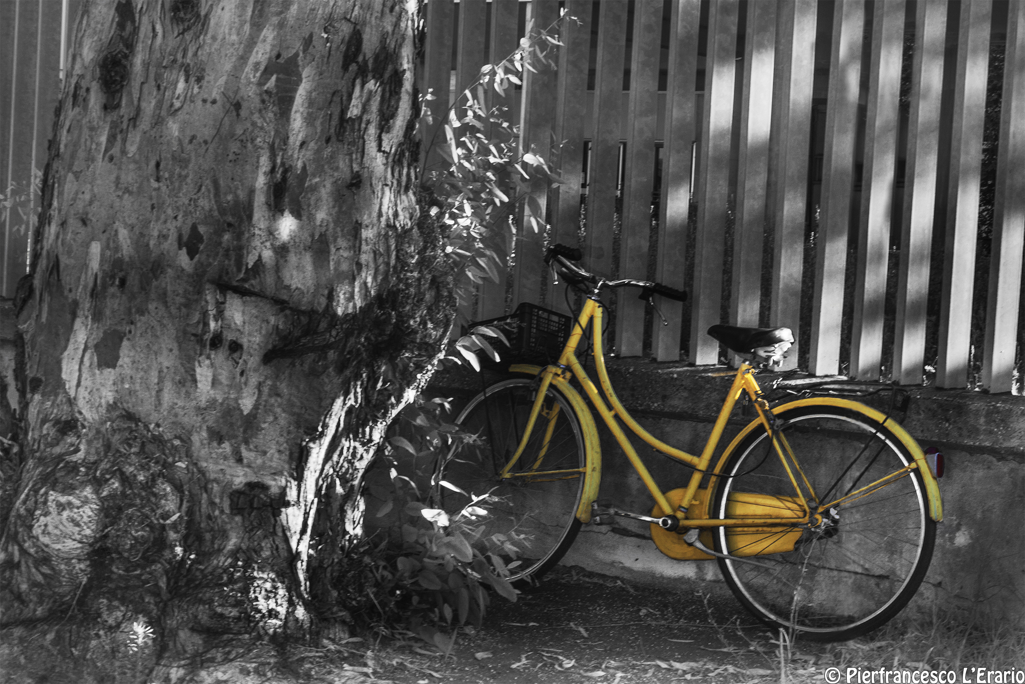 Sempre nello stesso posto