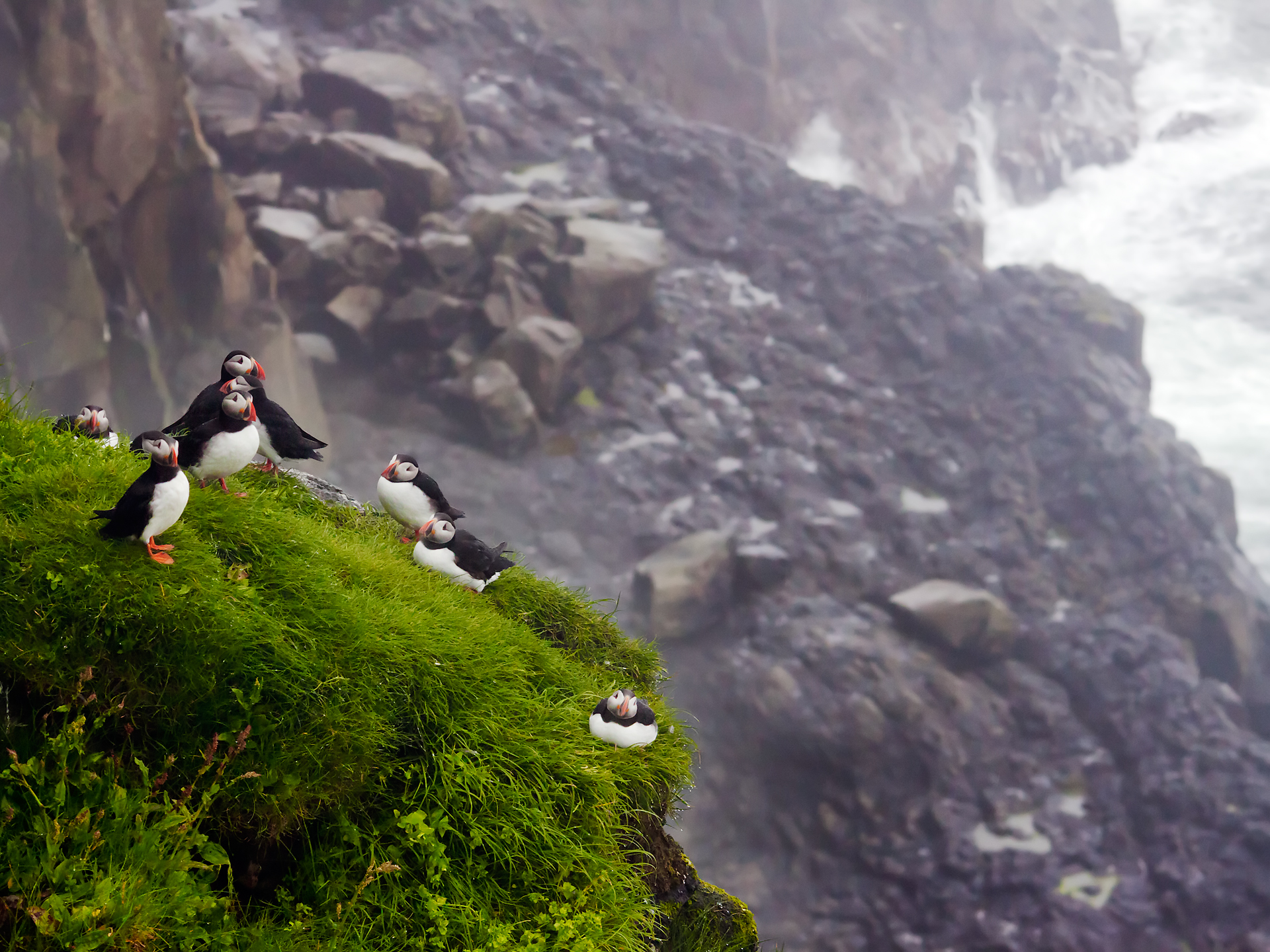 Lives at the edge - Vite al limite