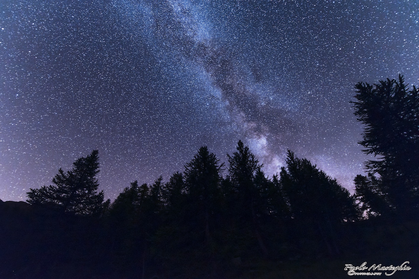 The enchanted forest.