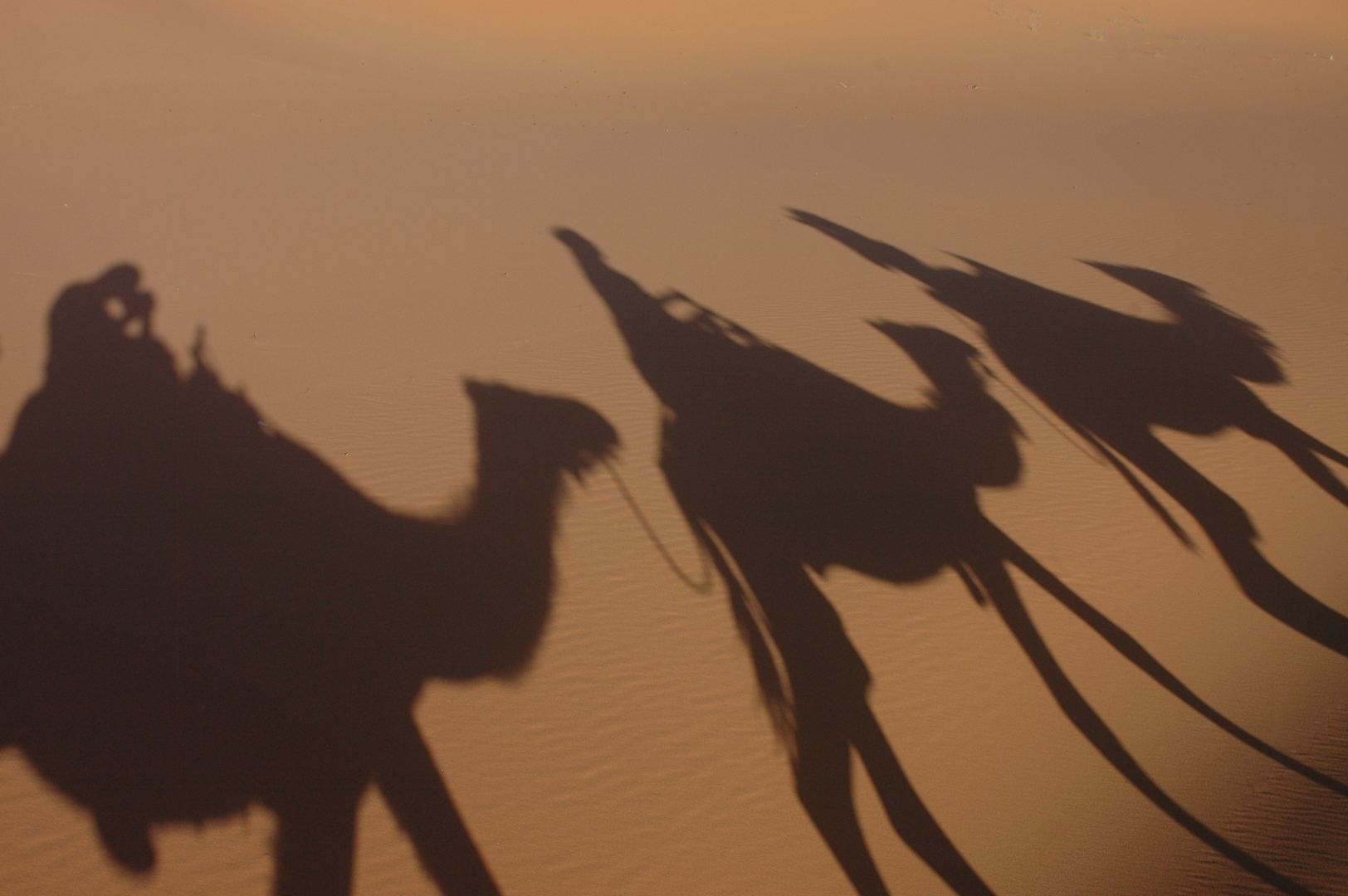 And I'm a photographer