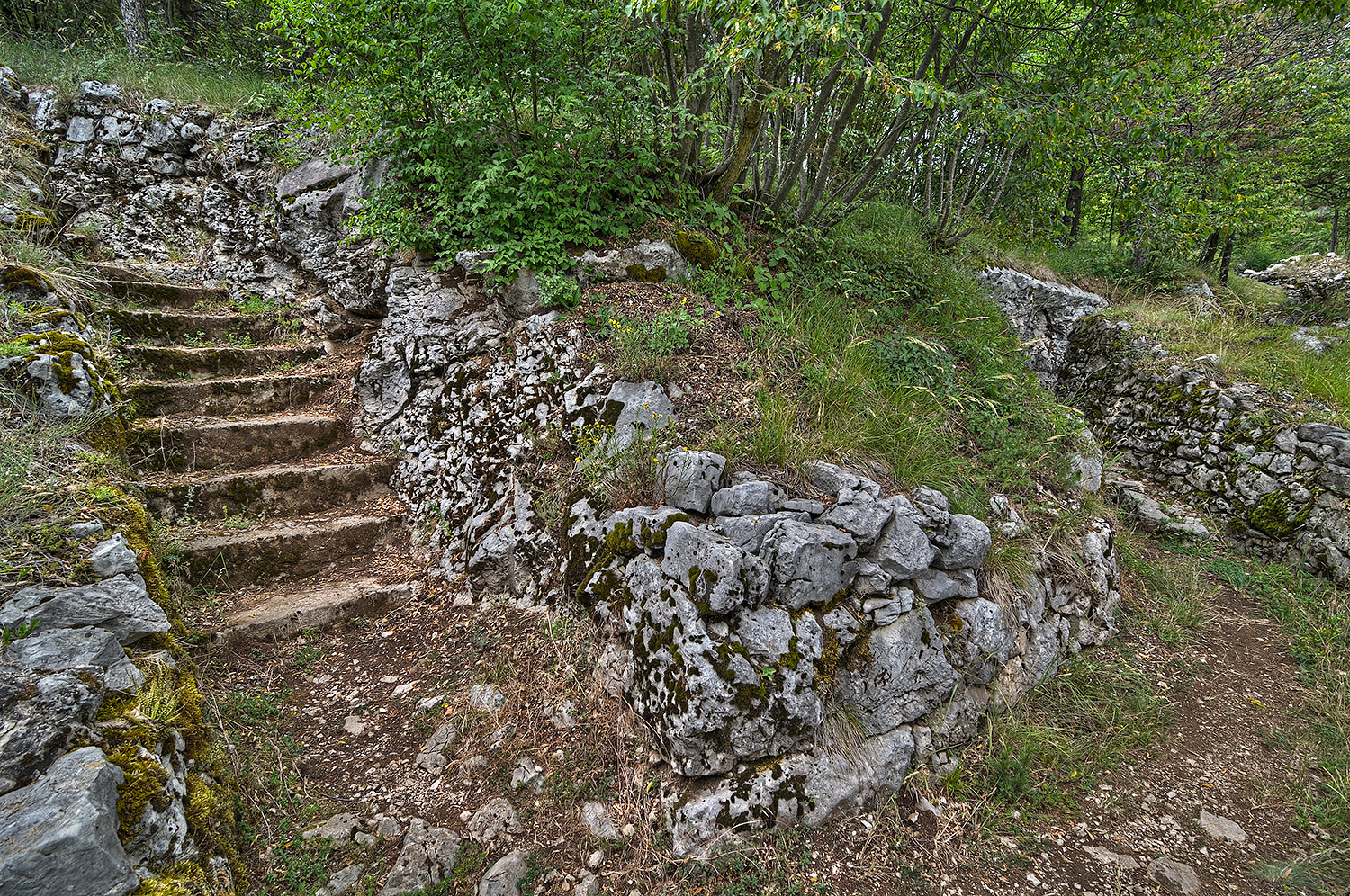 Trincee sul Nagia Grom 9