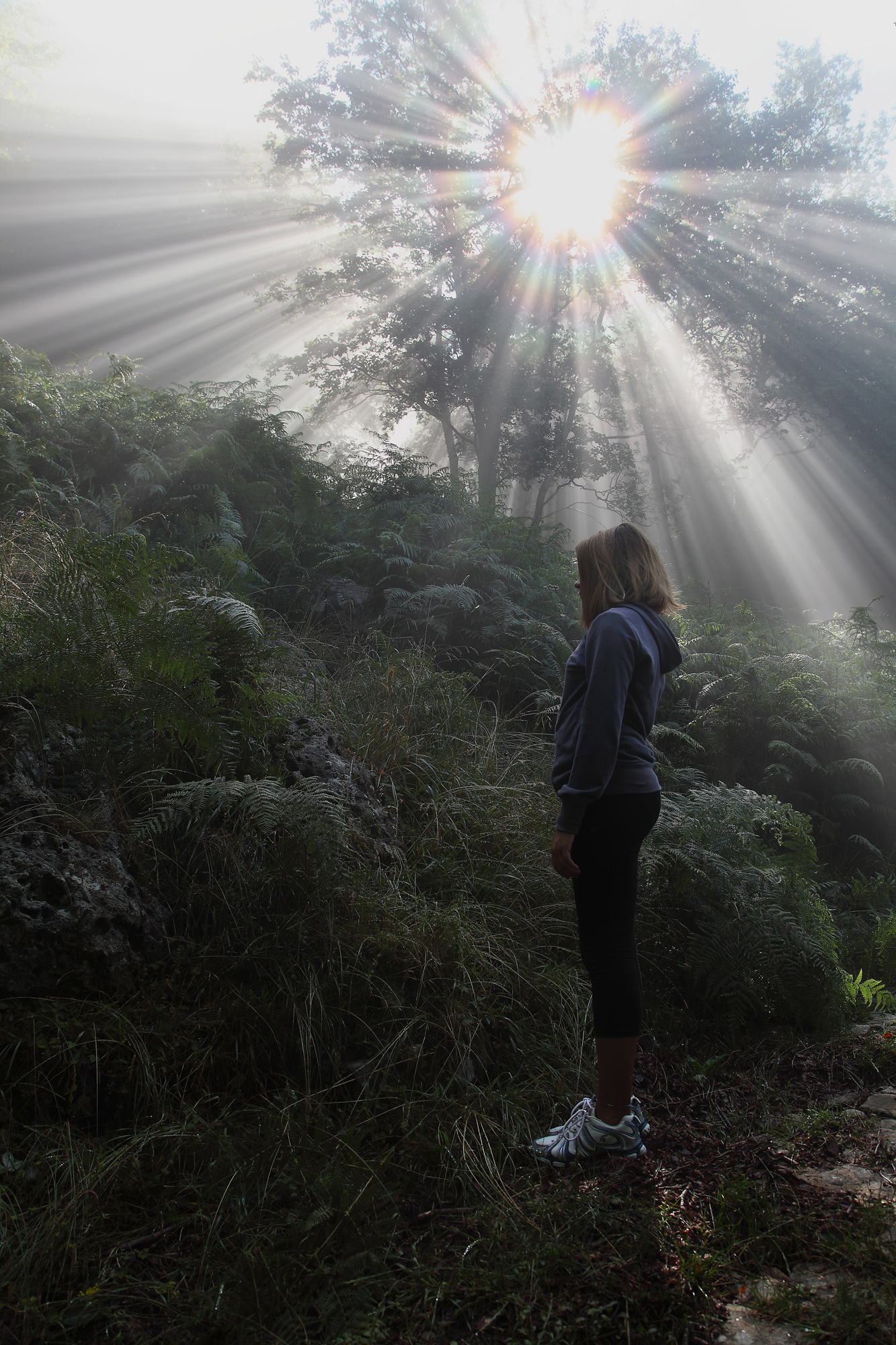 Trafitta da un raggio di luce