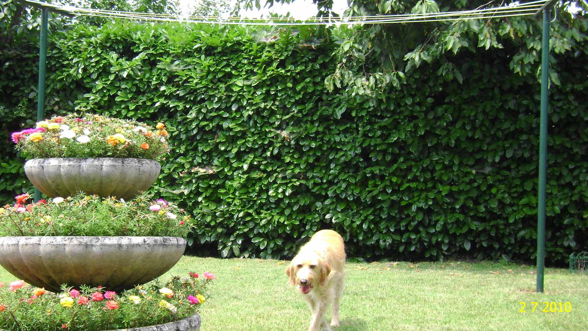 Che giornata faticosa!