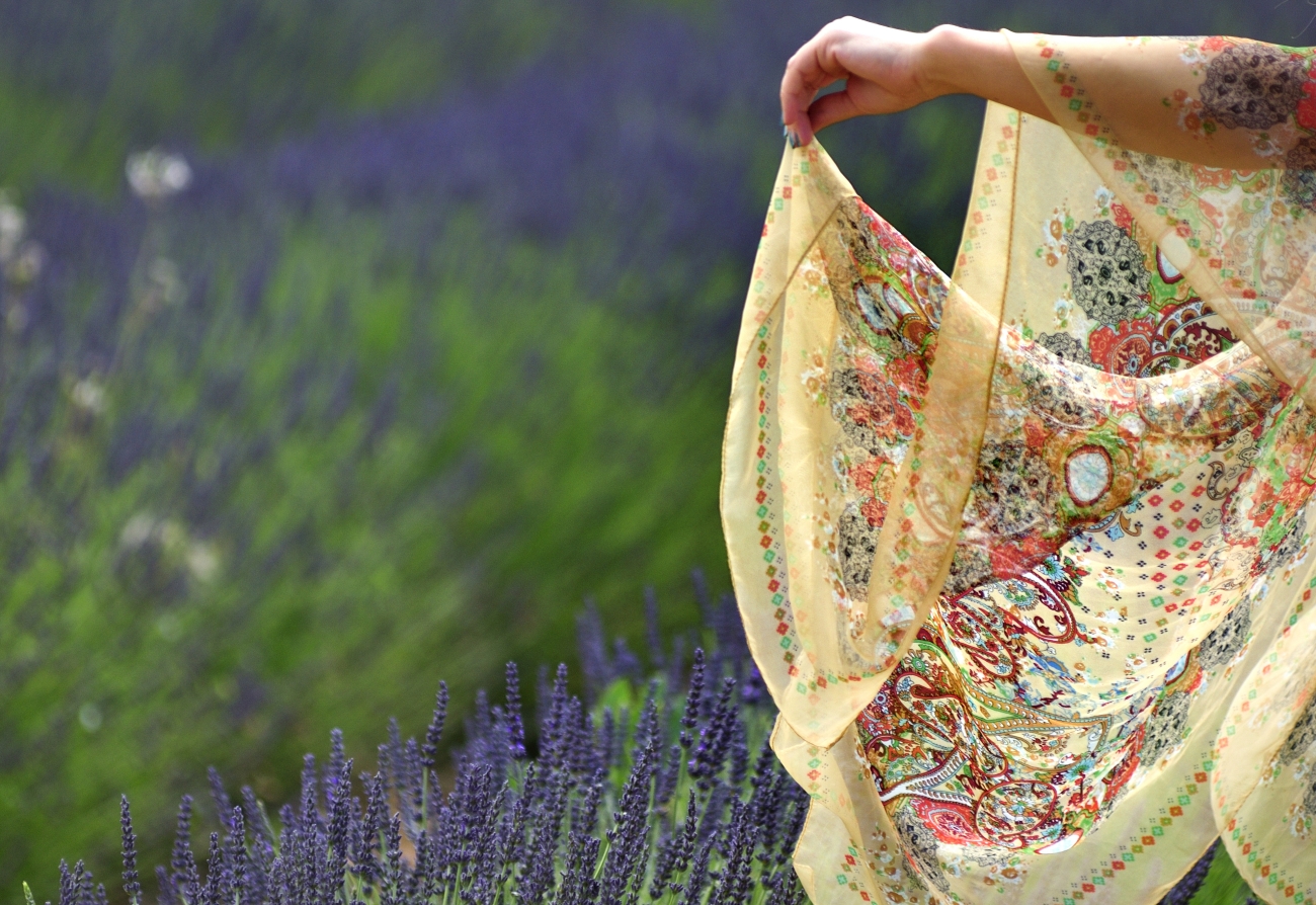 Nei Campi di Lavanda