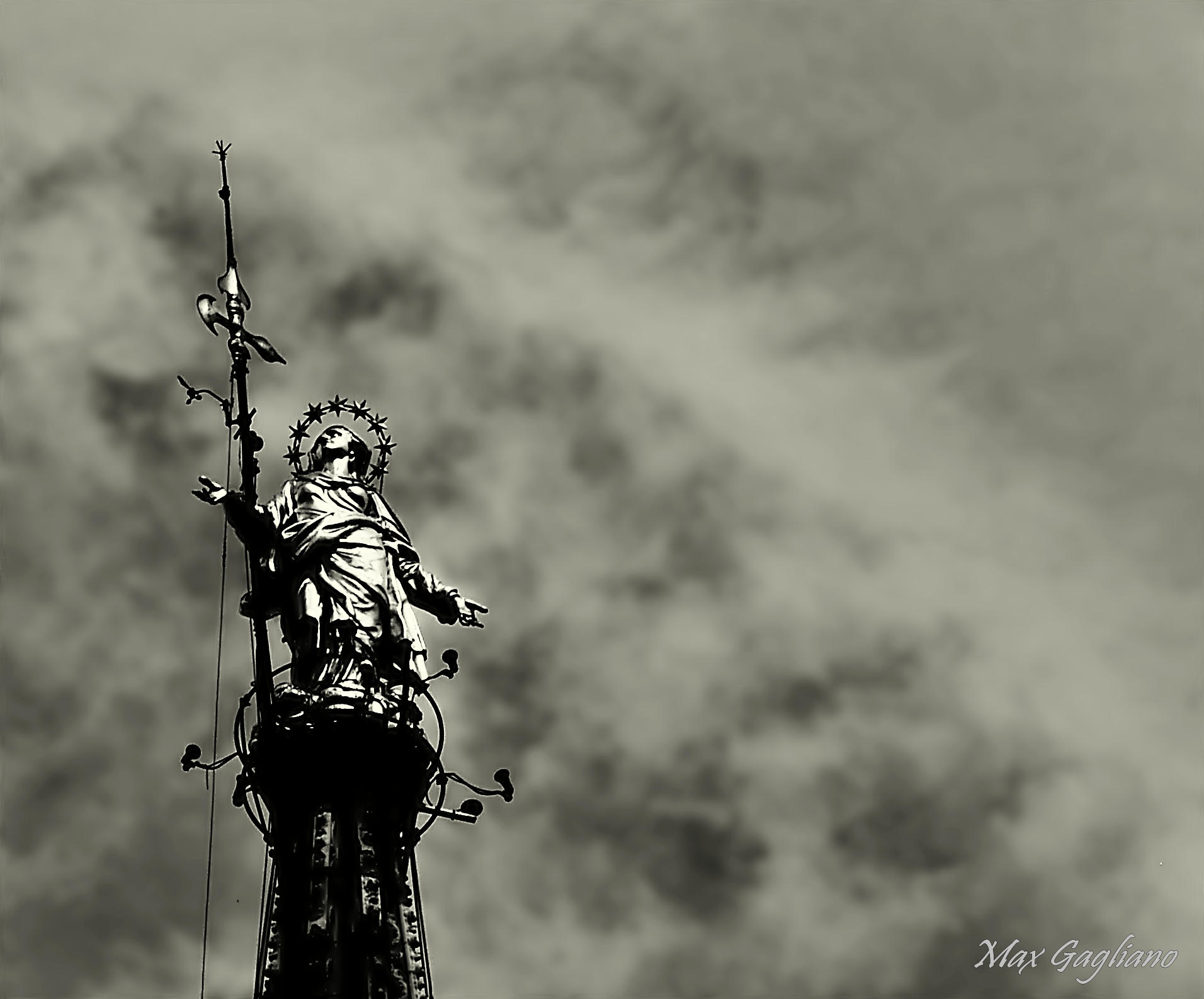 tu brilli da lontano