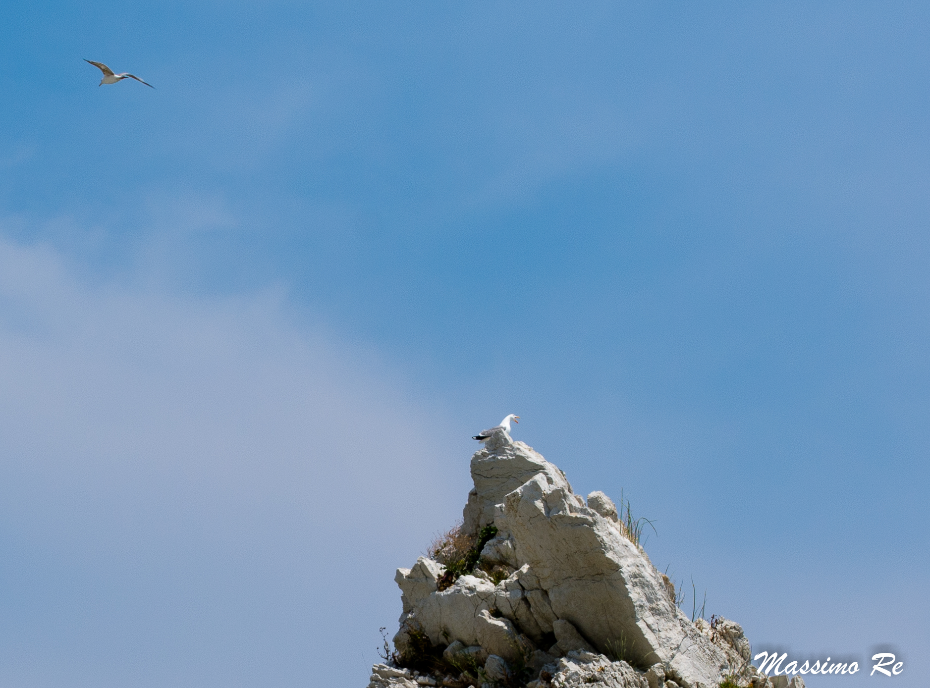 The "guardians" of the two sisters