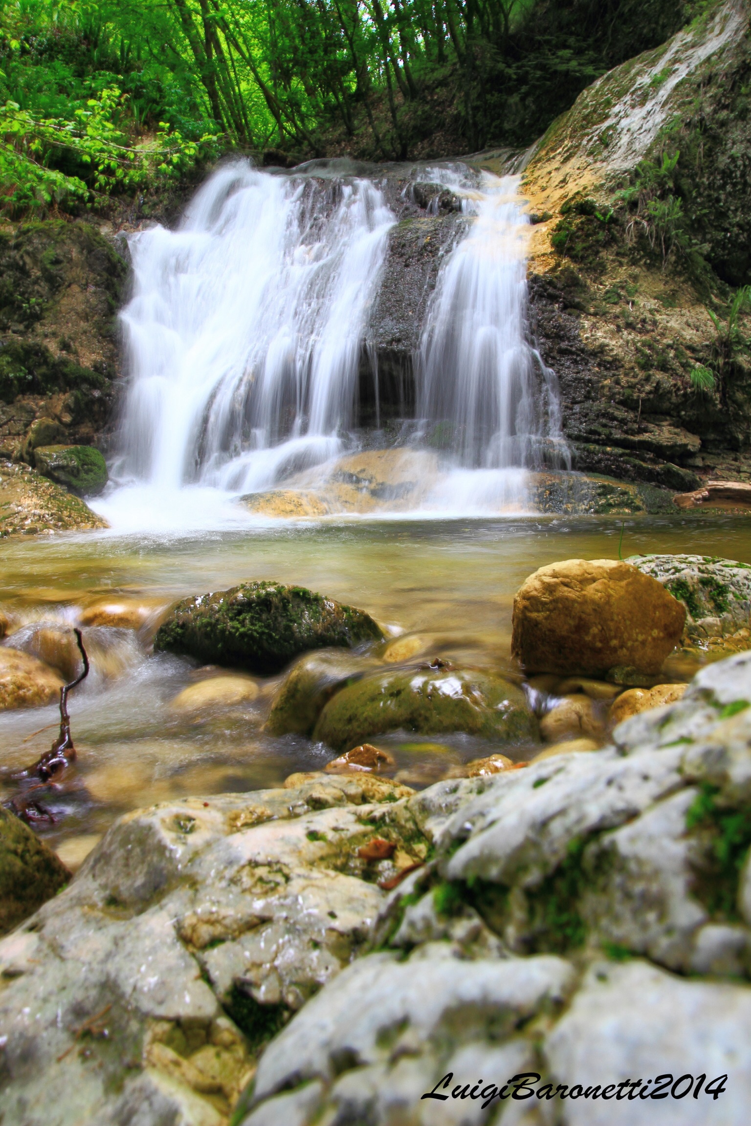 Nel parco nazionale d'Abruzzo