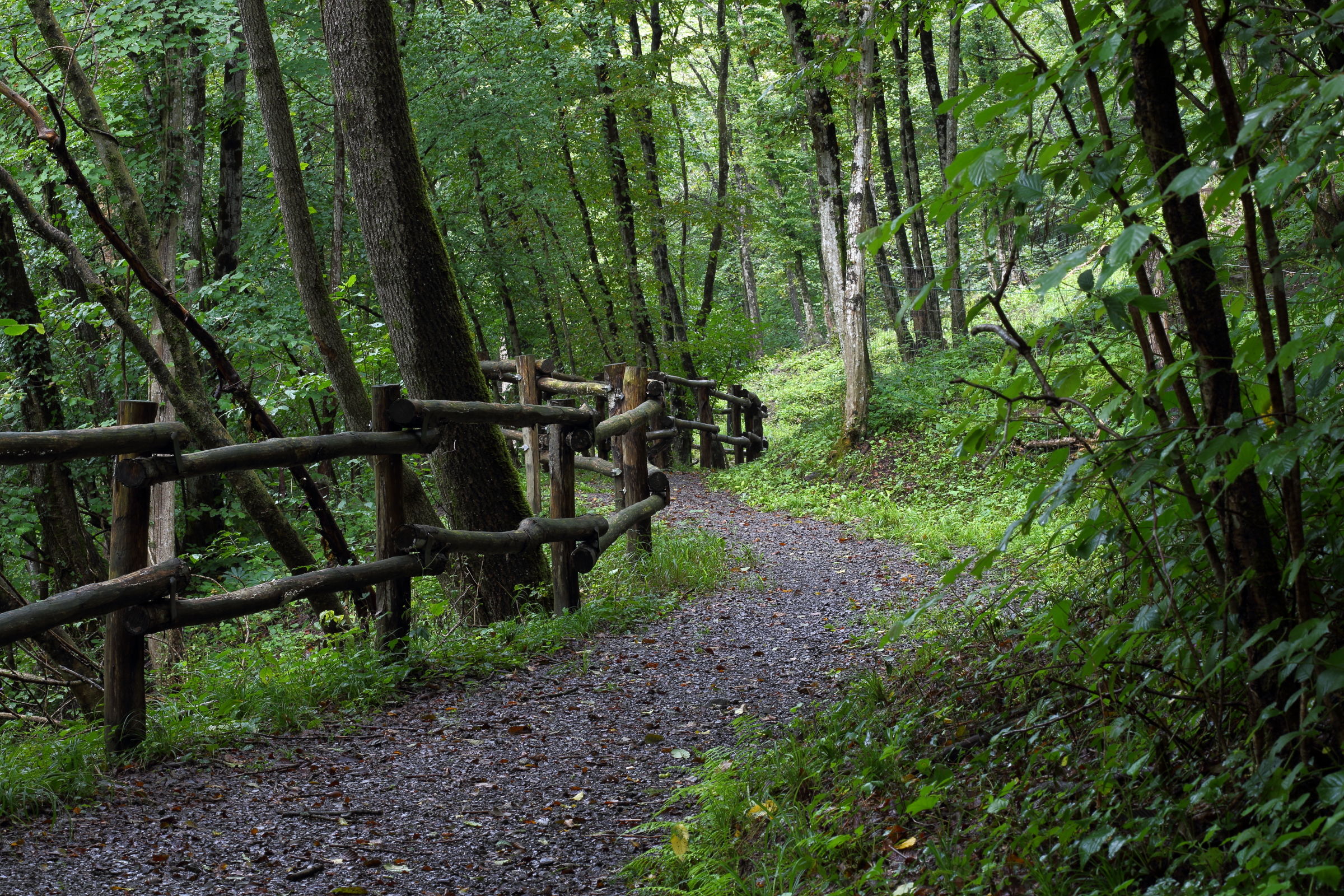 Four steps in Val Brunone