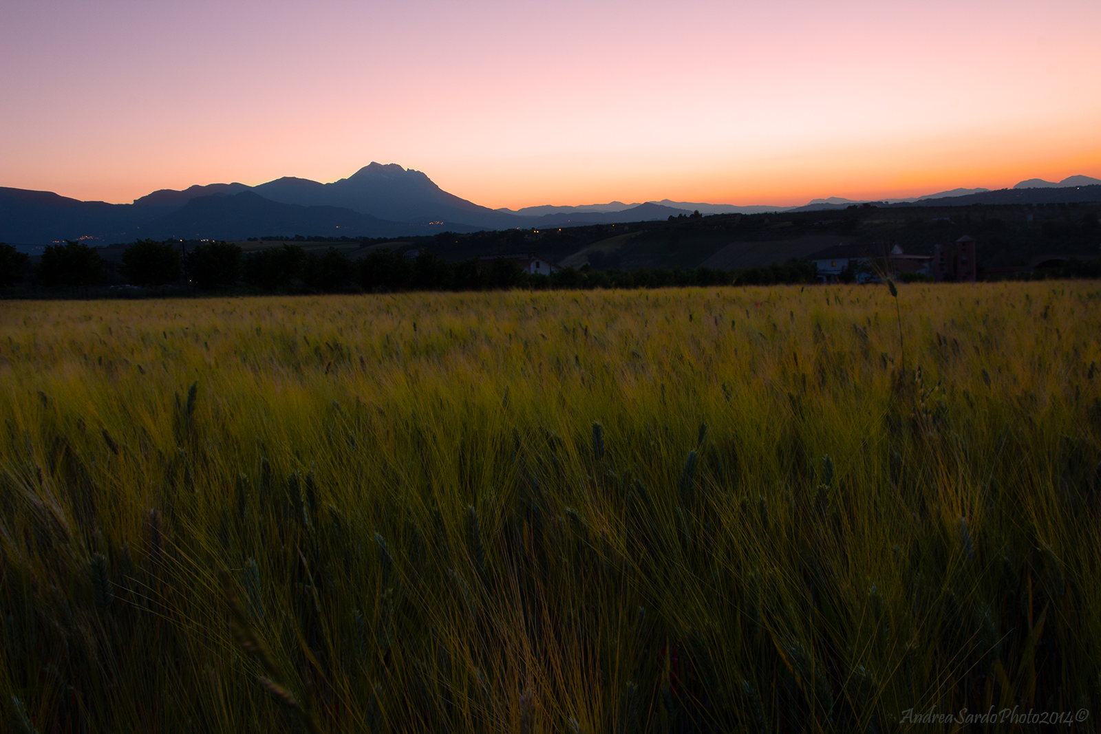 The charm of Sleeping Beauty ...