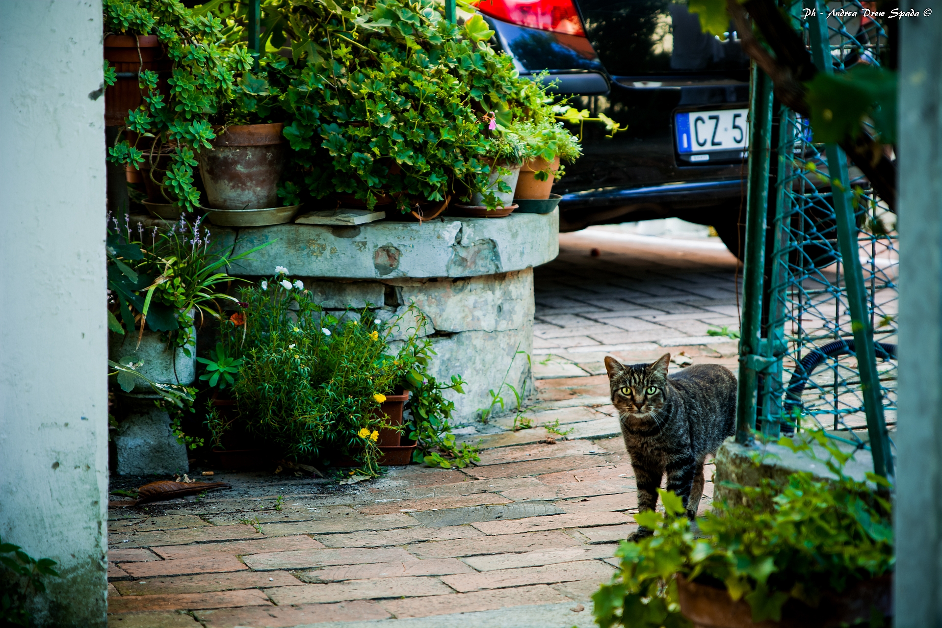 I've seen things you ...