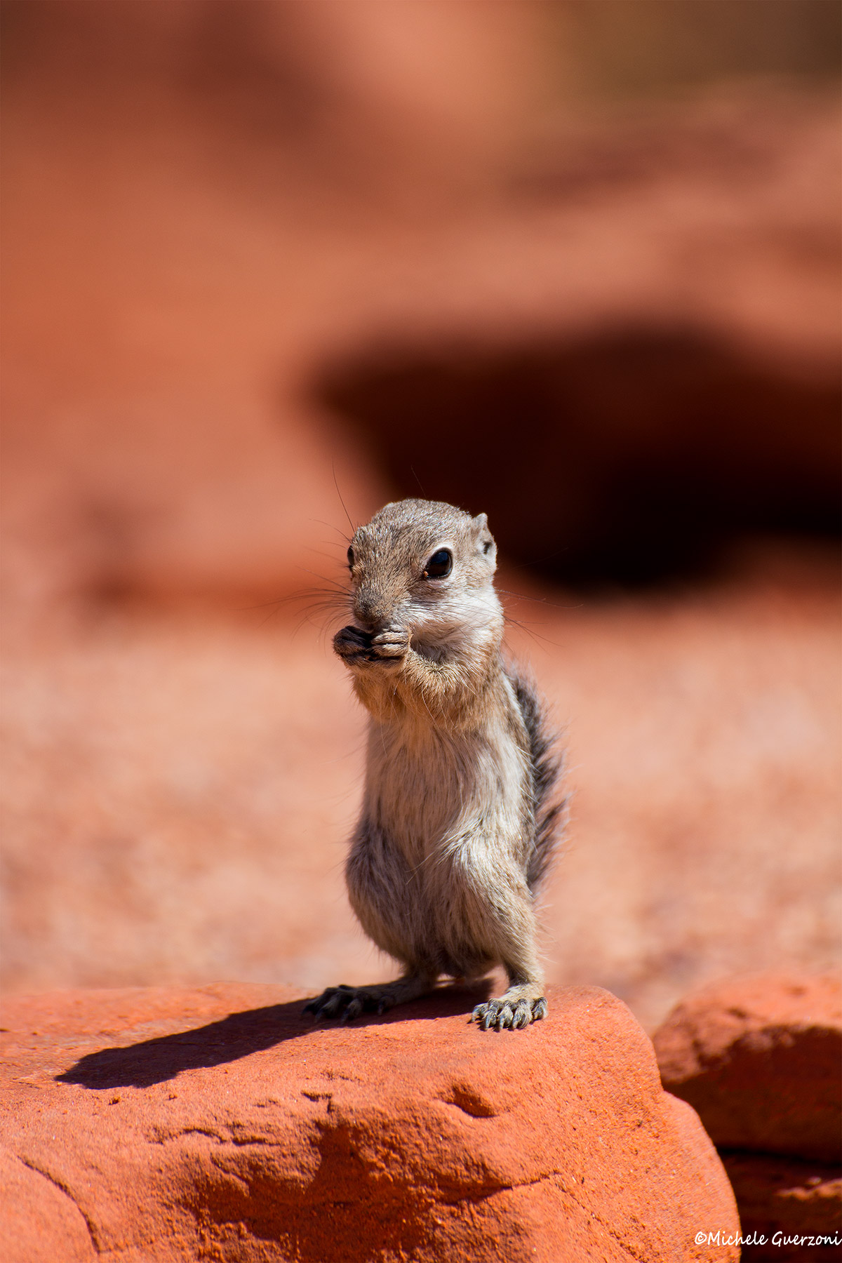 Hey you! What photographers?