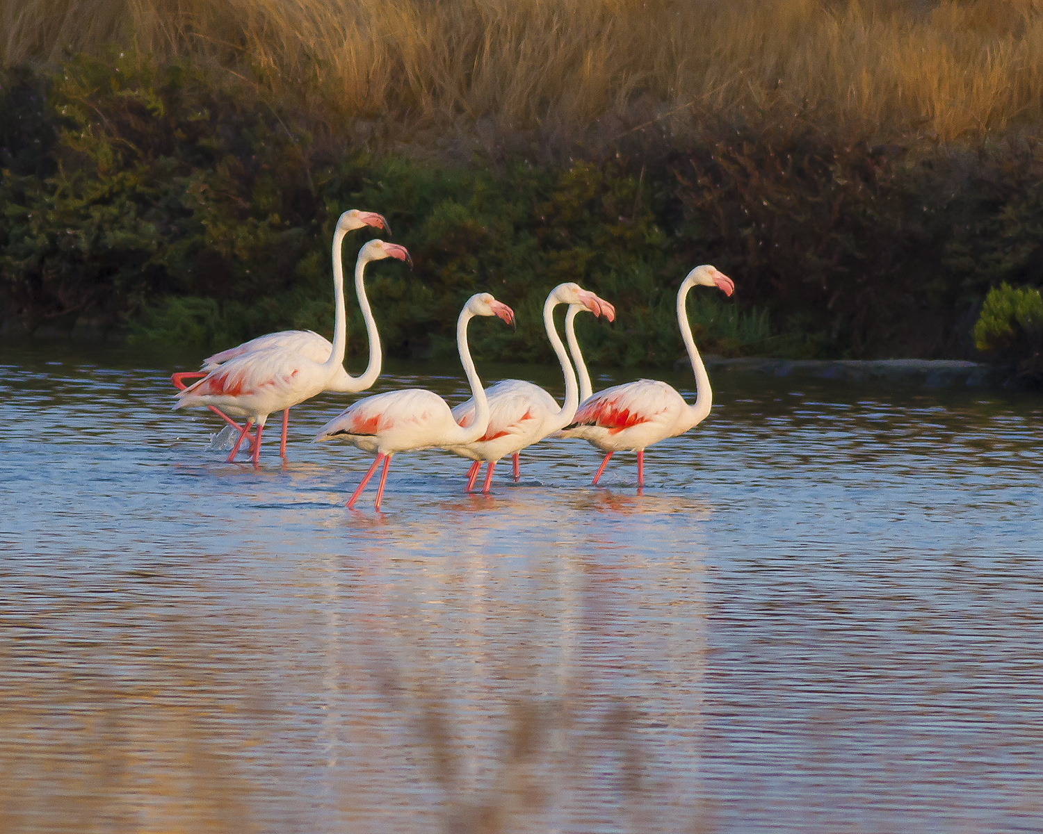 Passeggiata all'alba