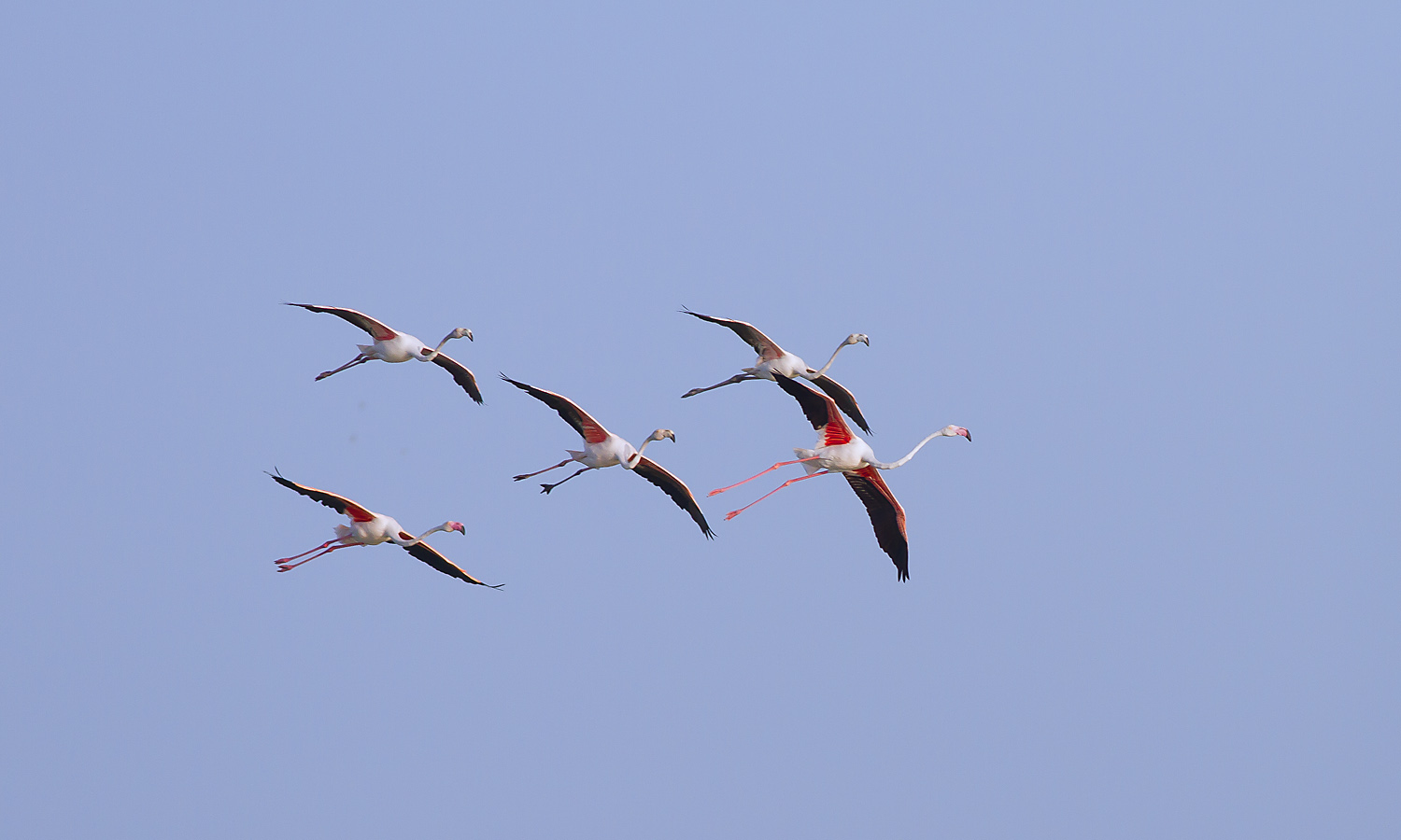 Pronti all'ammaraggio
