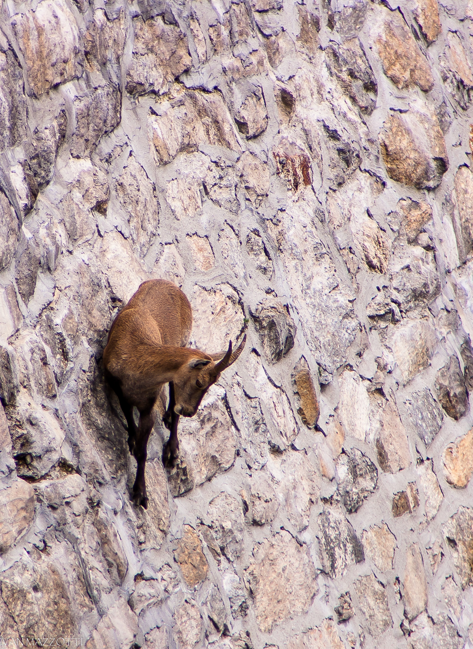 Oops ... a little high here .....