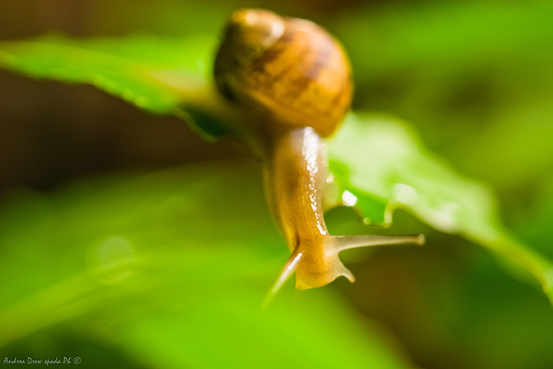 There's someone down there?