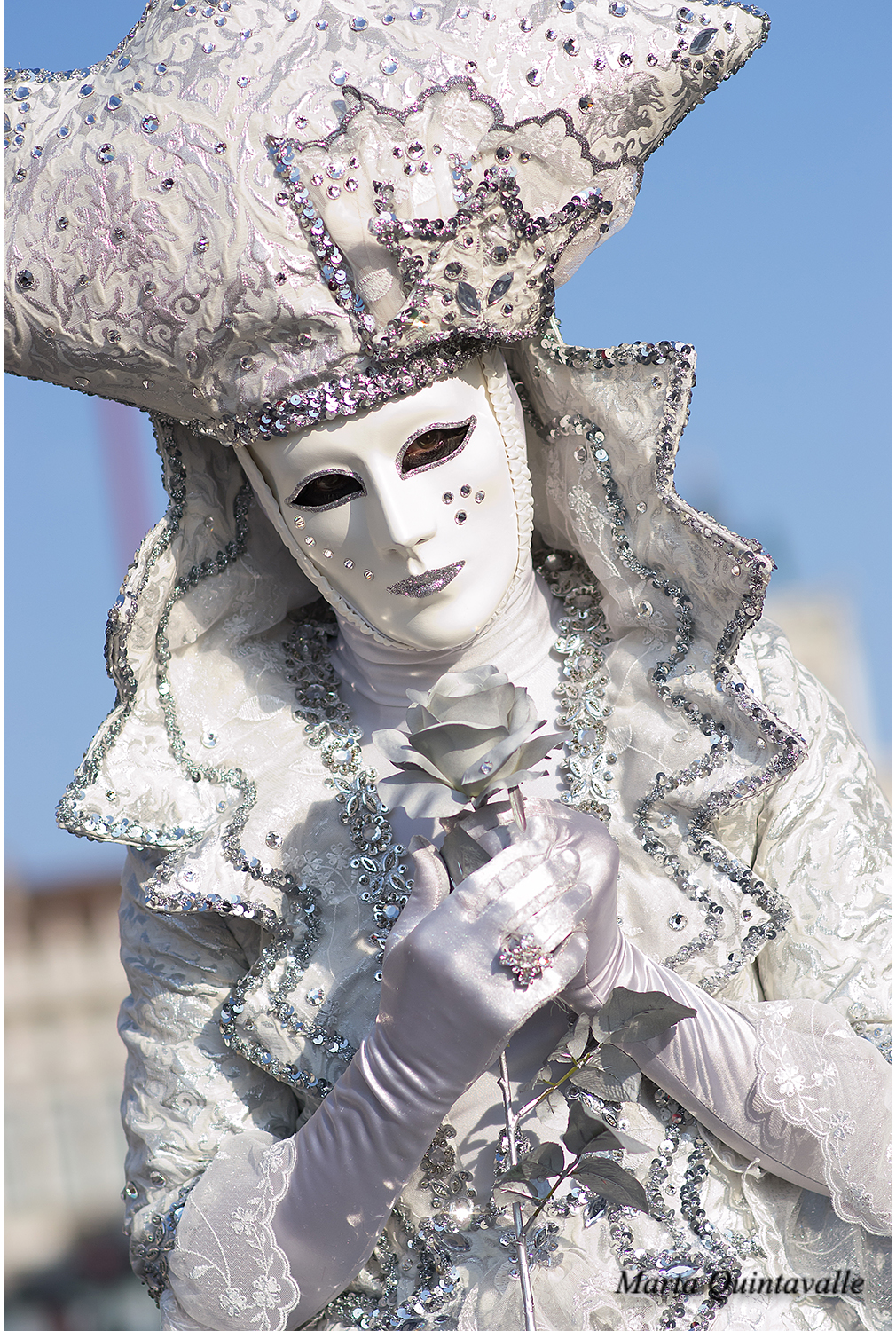 Il cavaliere veneziano