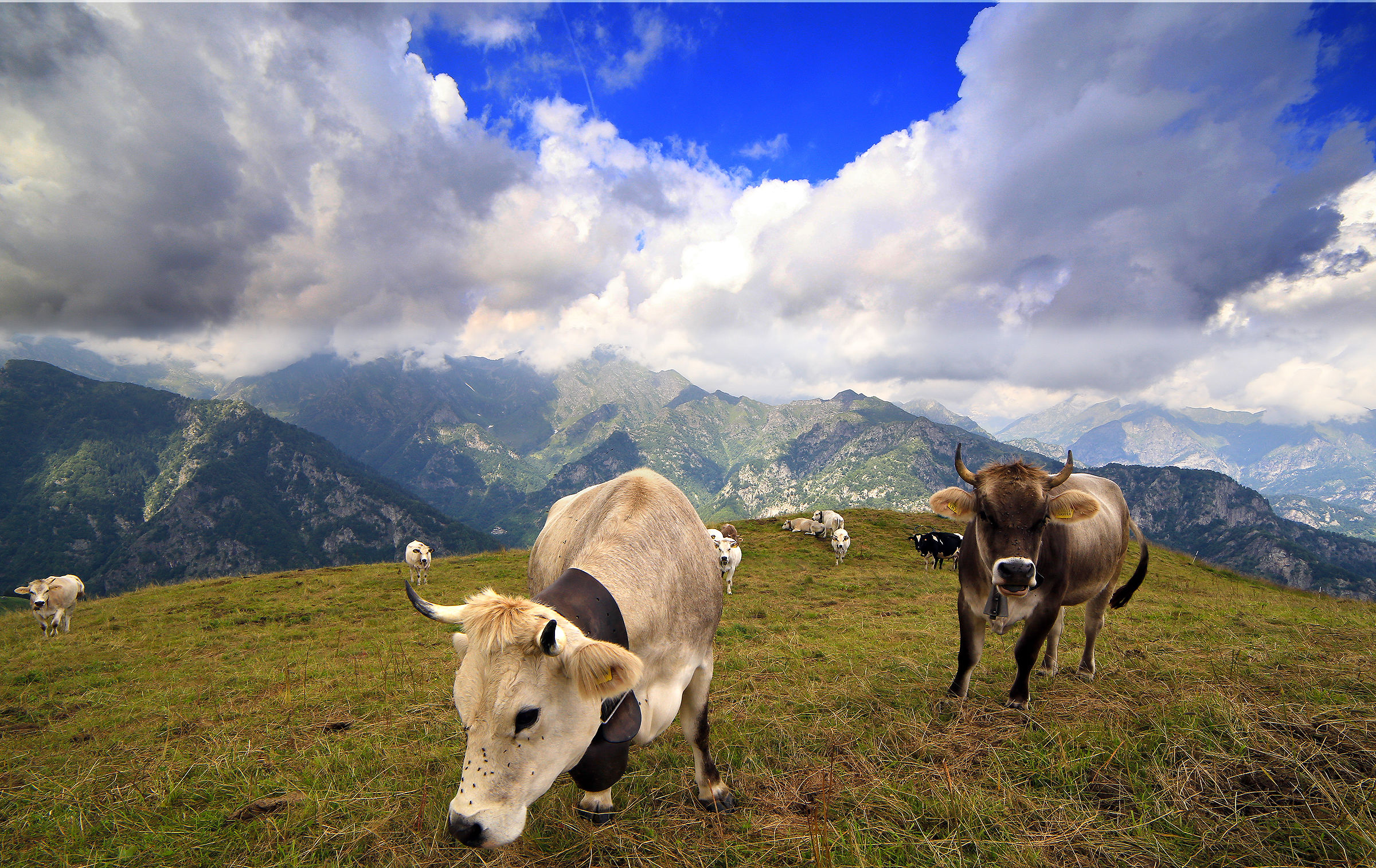 Alpe Pizzo. Val Sesia