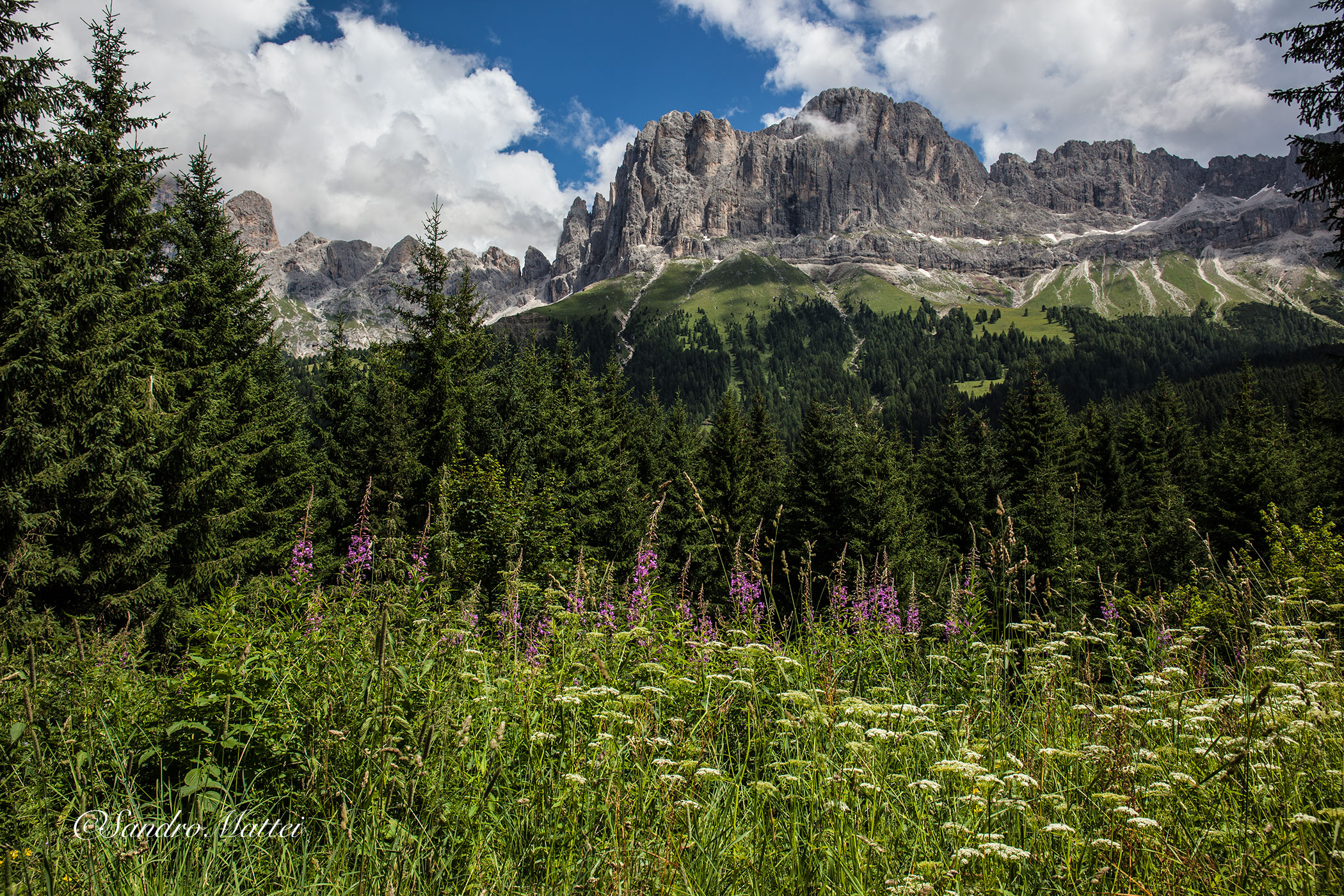 View of the Rosengarten P. Nigra (Trentino alto Adige)