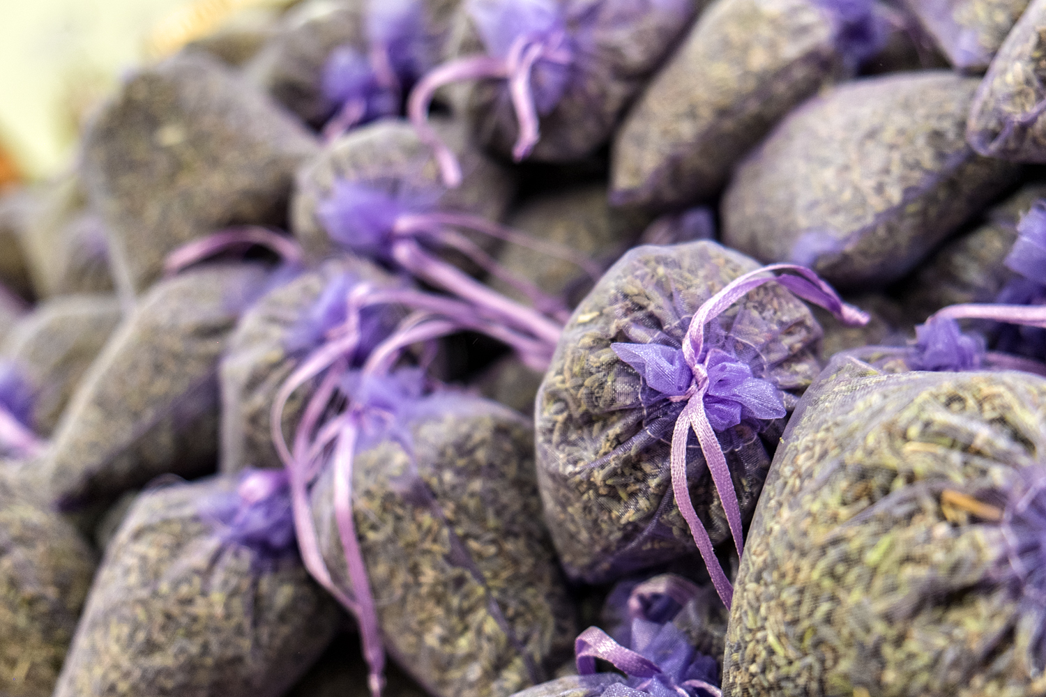 Provence - Avignon 08/10/1972