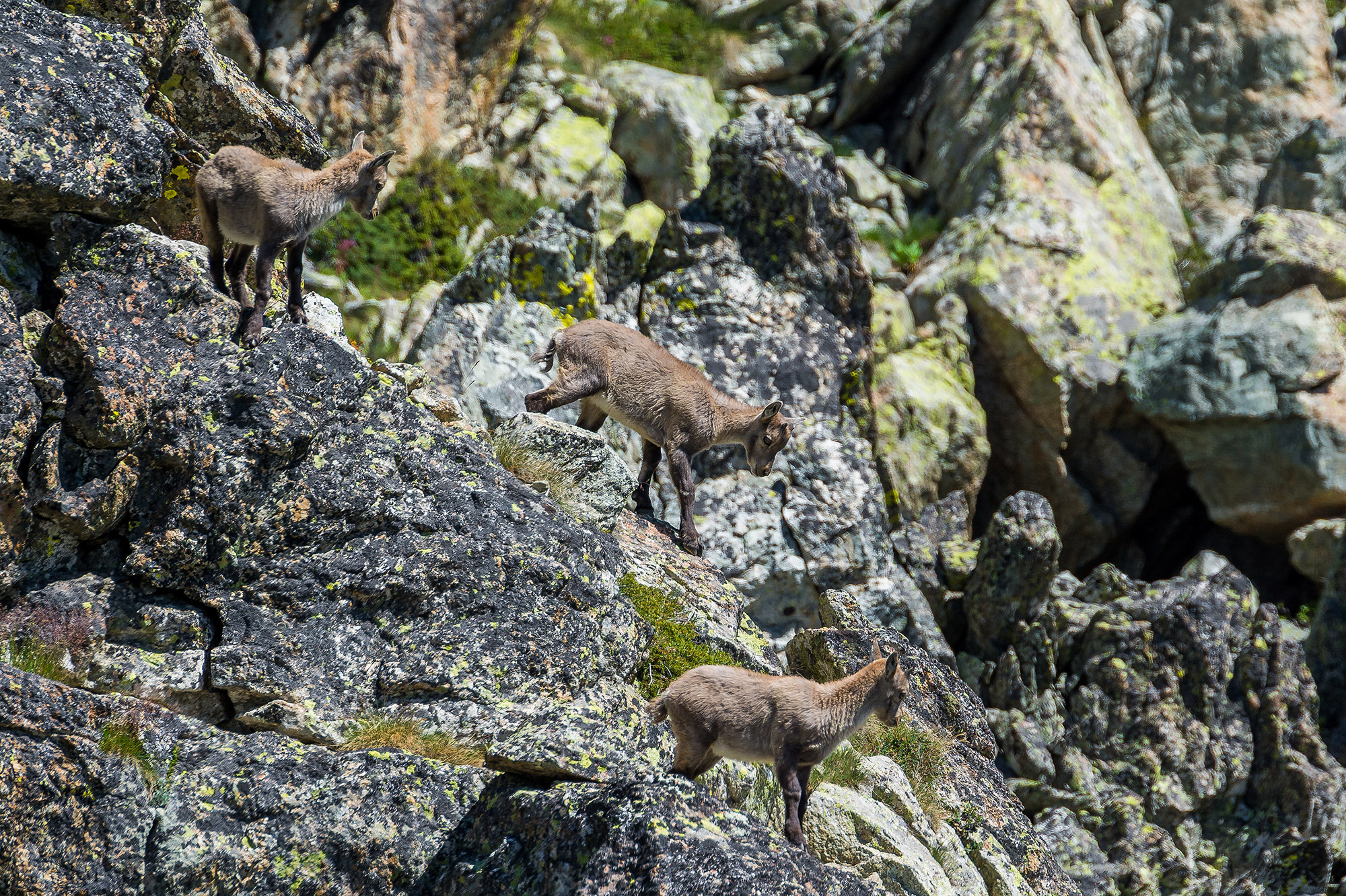 Primi passi in solitaria