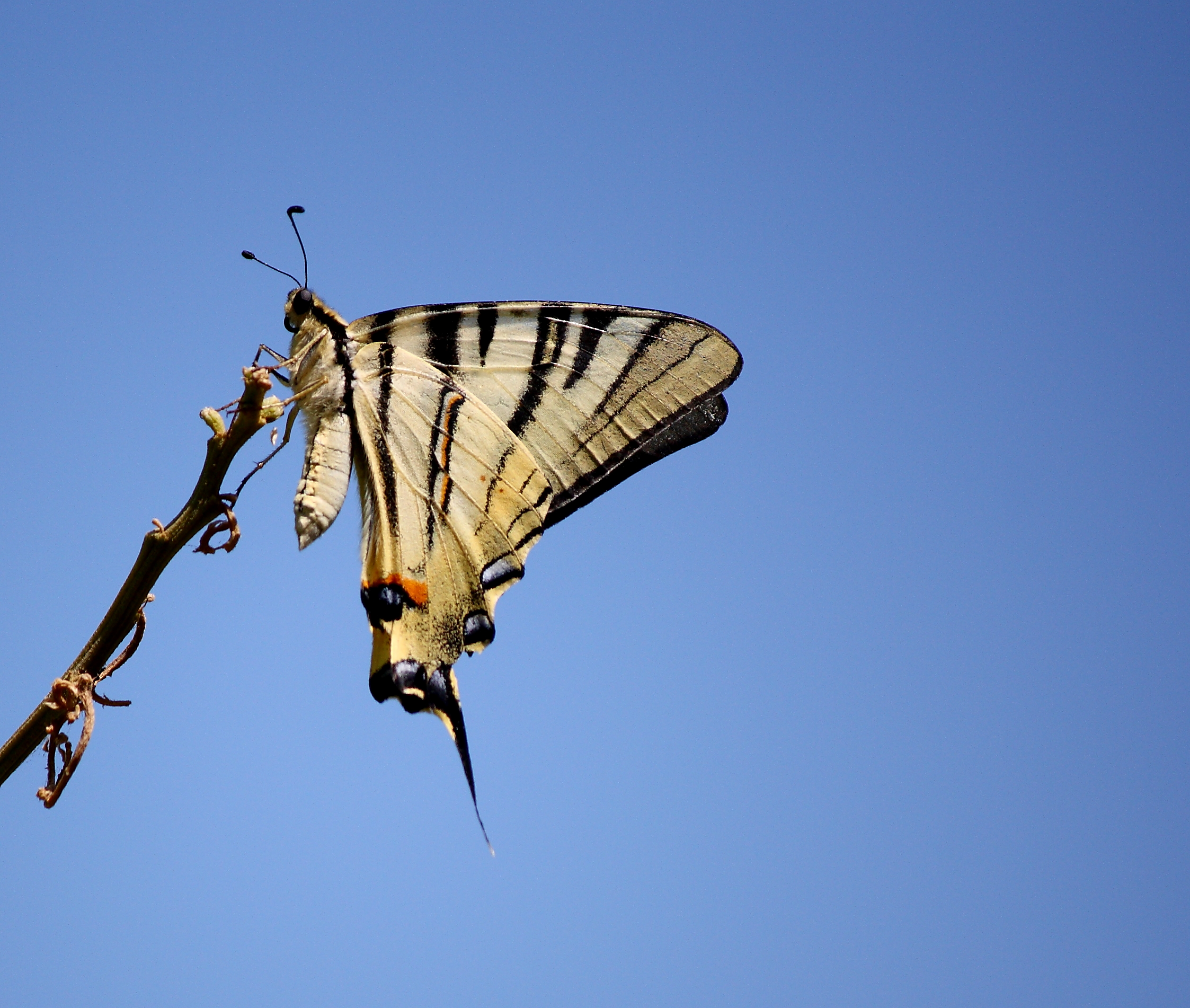 vanità in bianco e nero 1