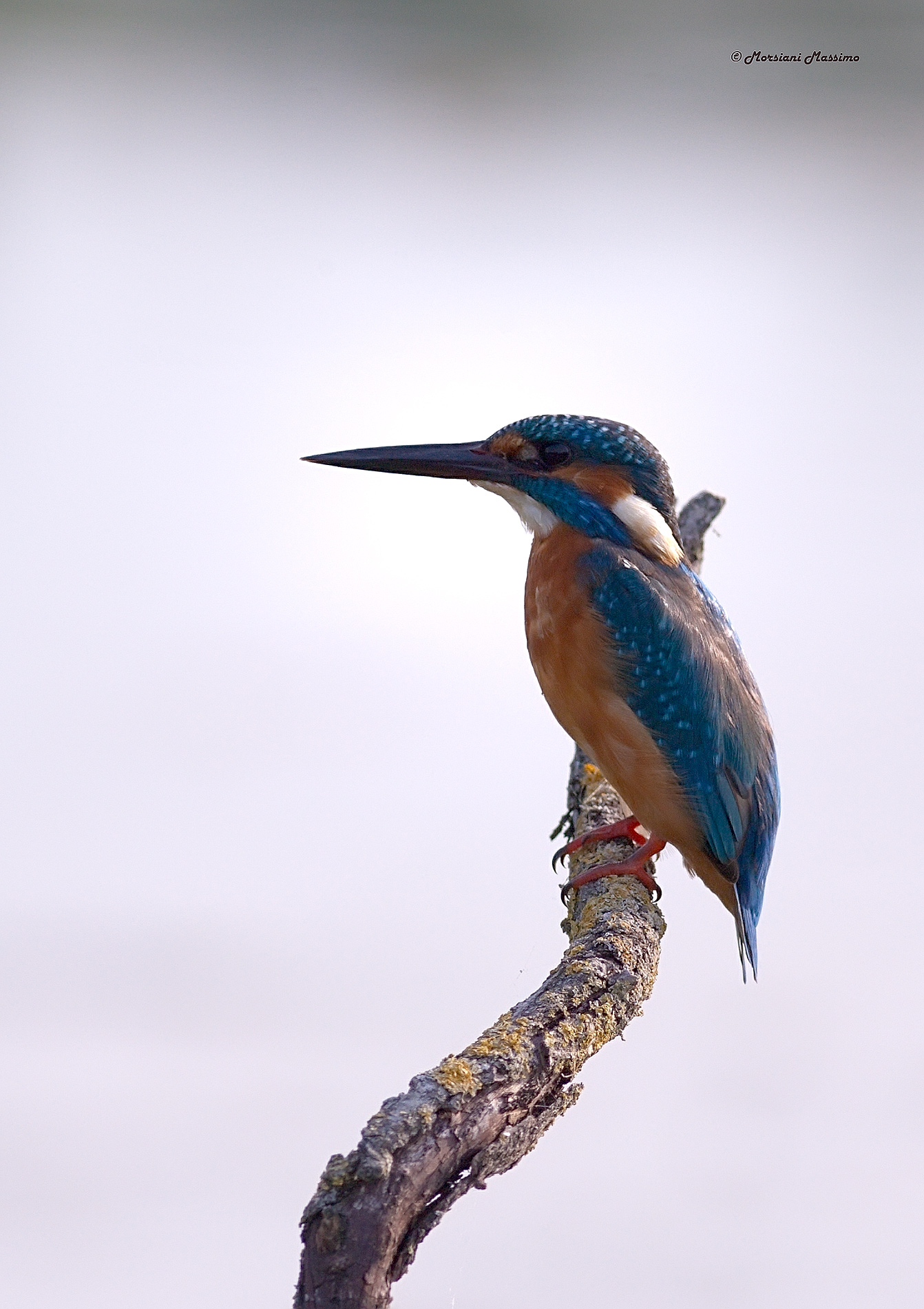 I go between a moment ...