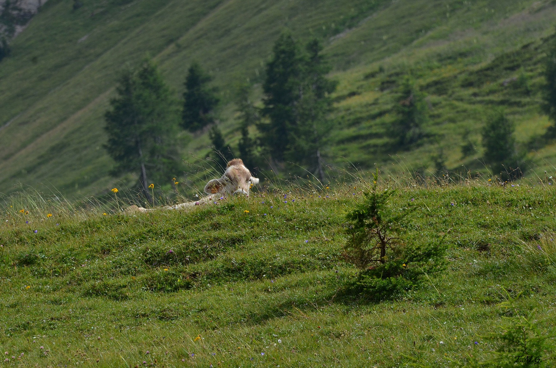 Relax in the mountains