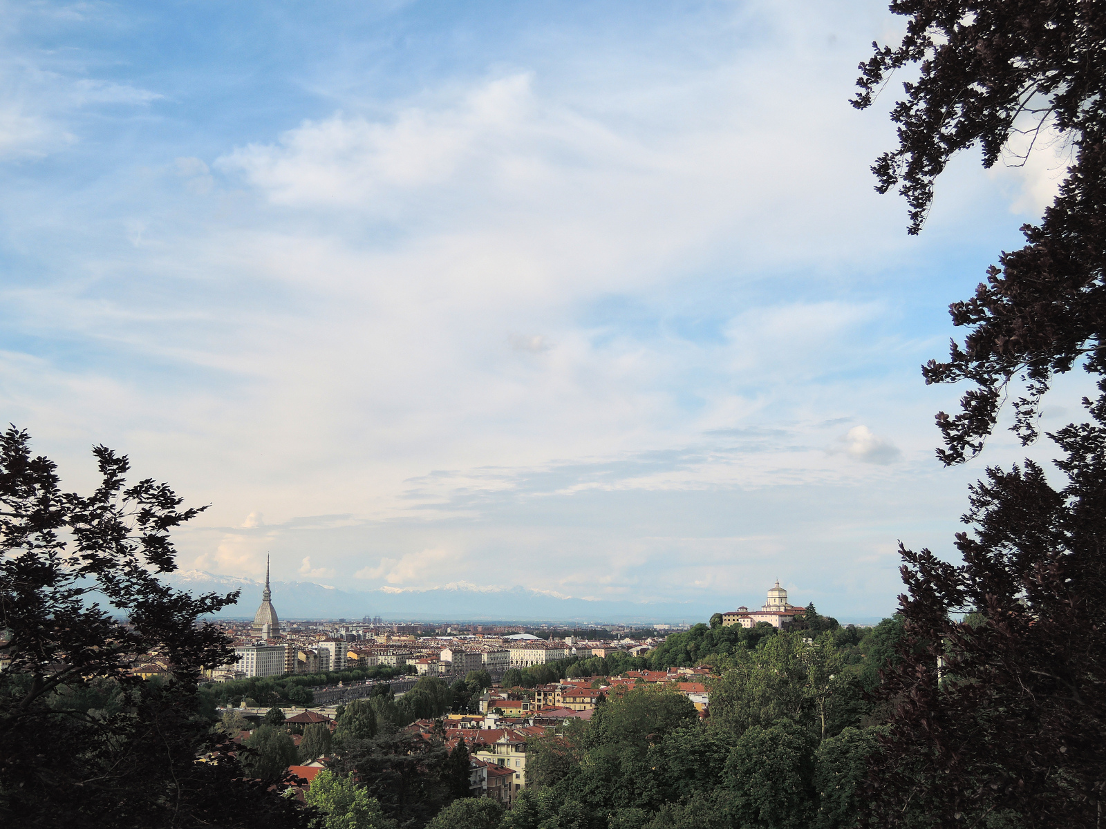Scorcio dalla collina torinese II