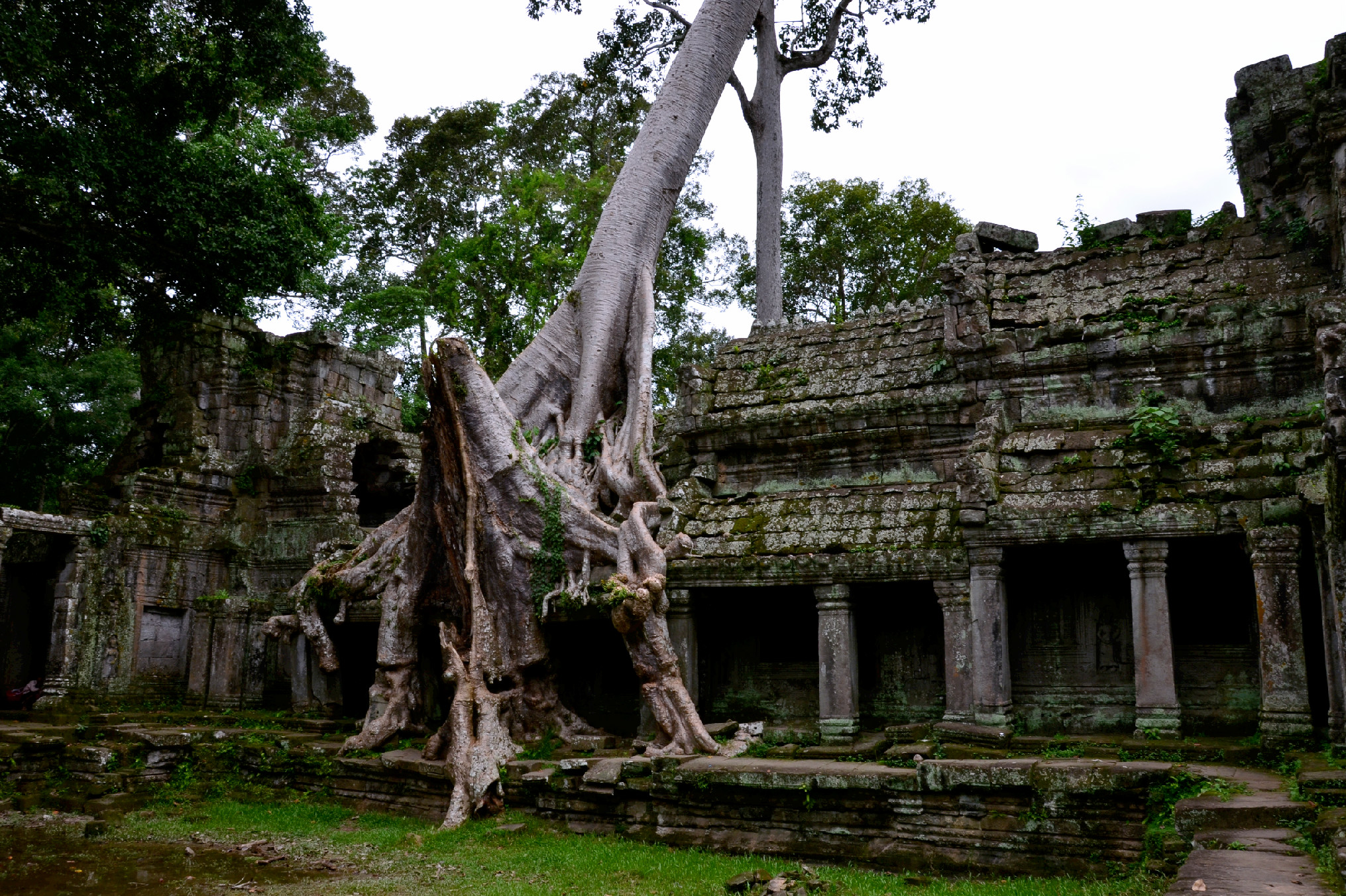 La forza della natura