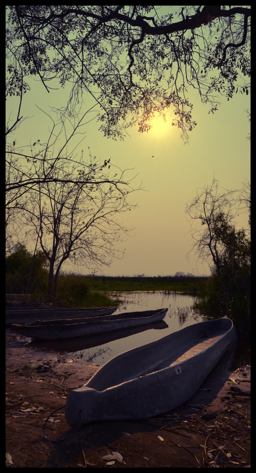 Sunset Okavango
