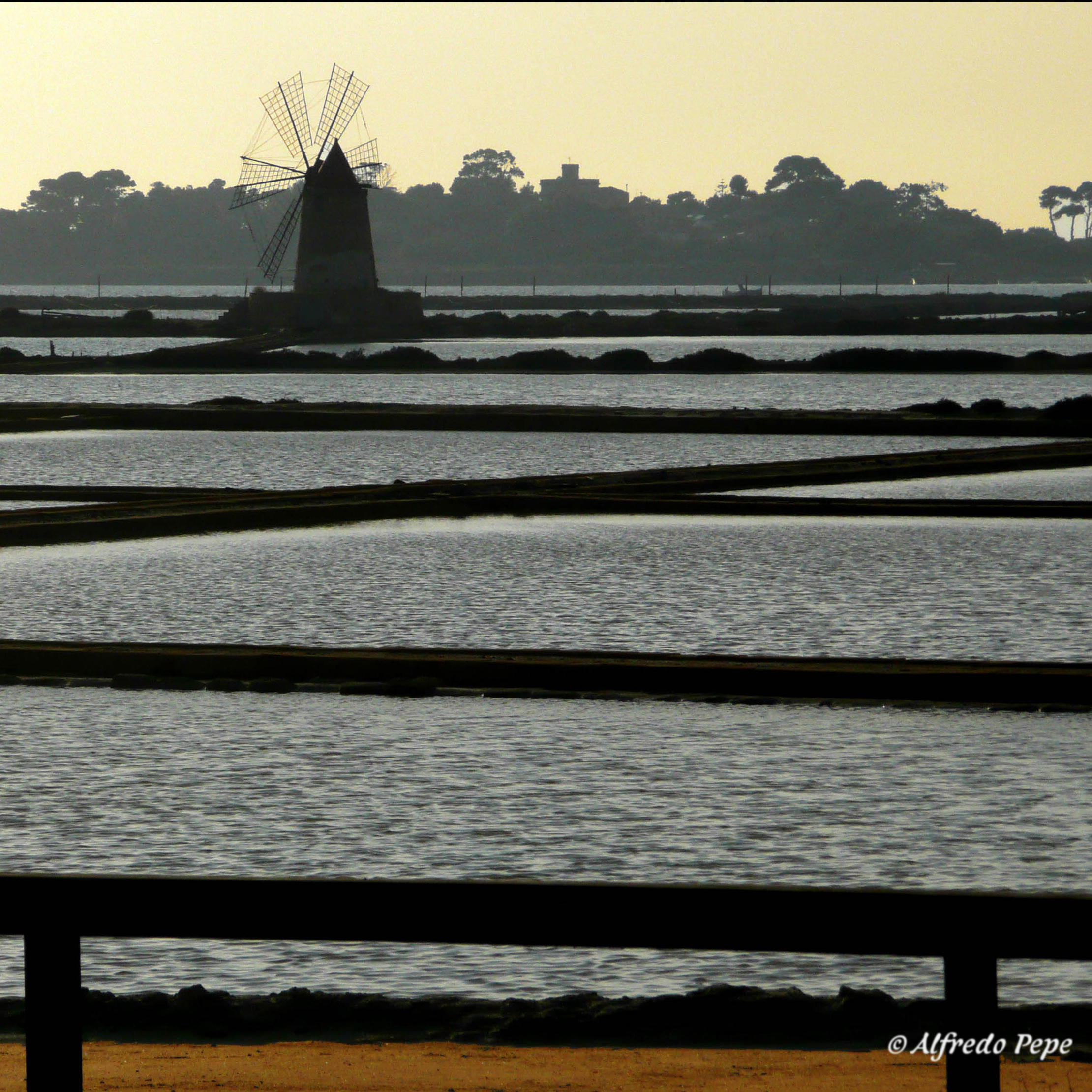 Saline Sicilian