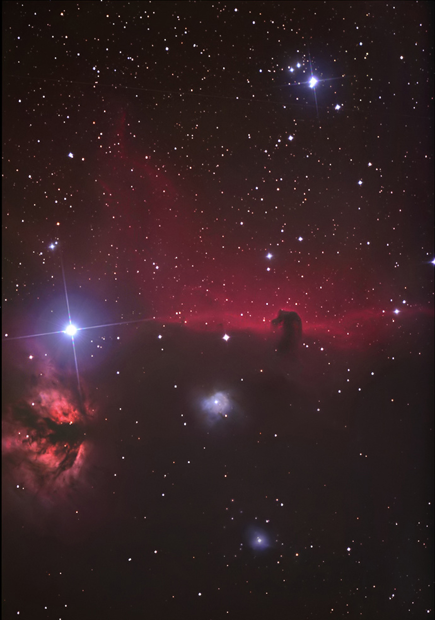 nebulosa a testa di cavallo