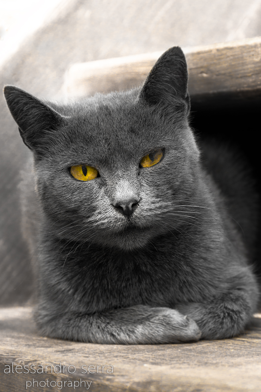 I'm ossevando ......