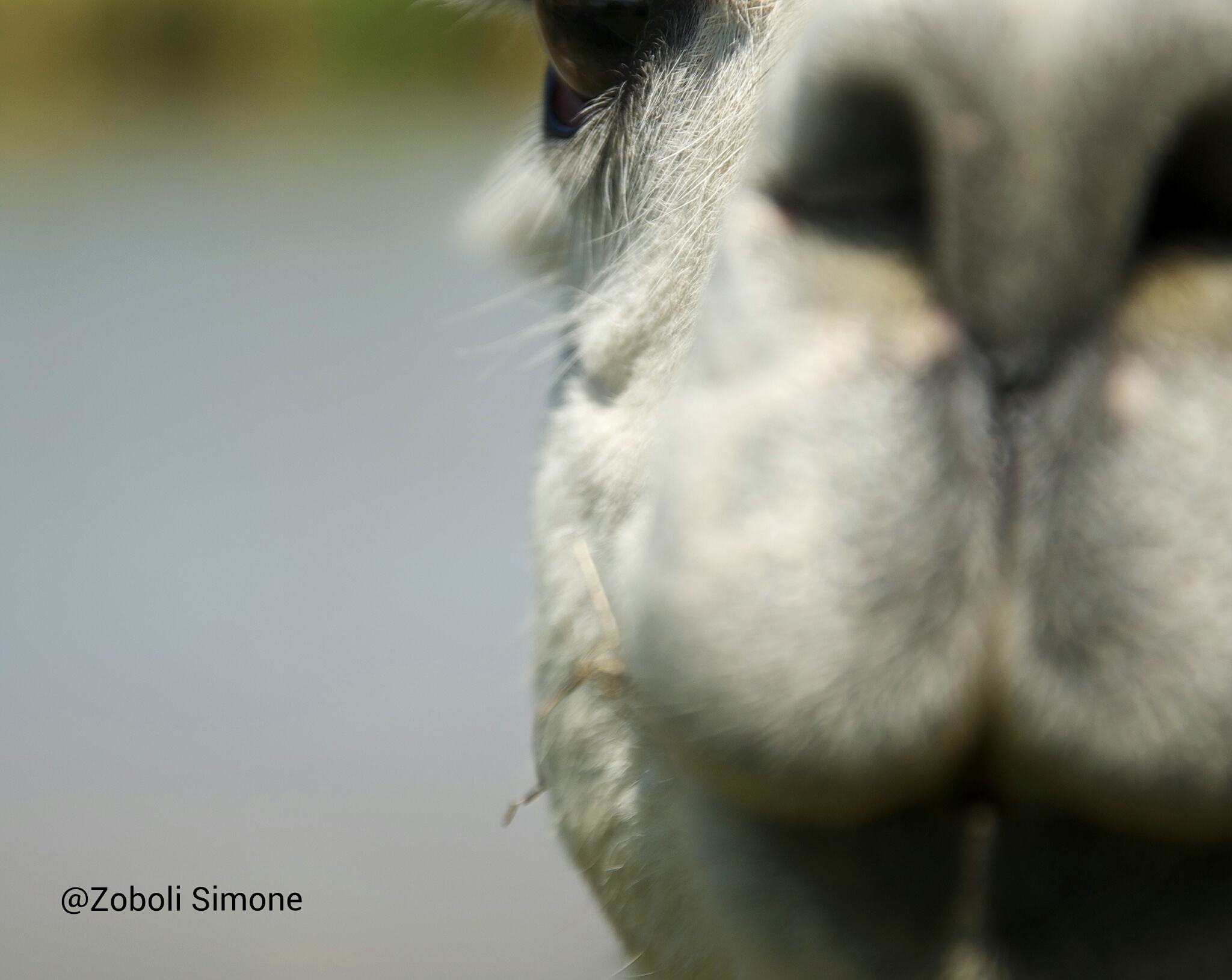 If you look at me you spit !!!!!!!!!