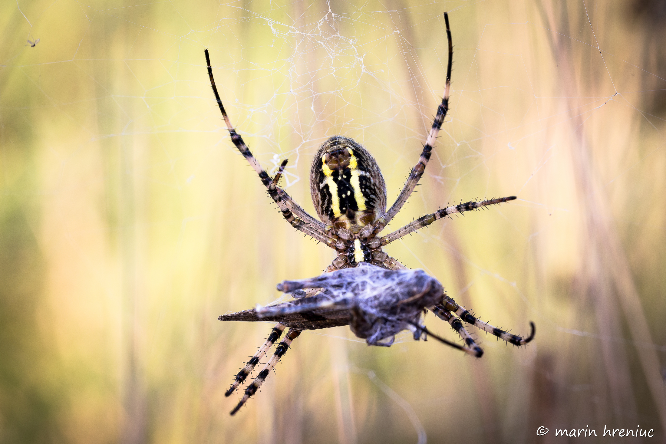 breakfast in the early morning