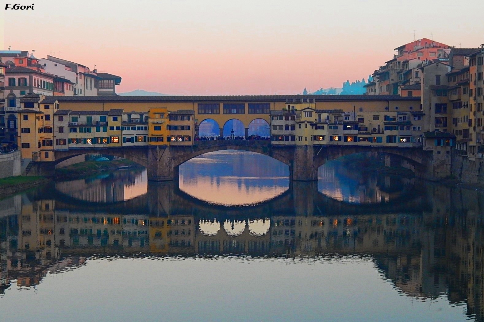 ponte vecchio in rosa