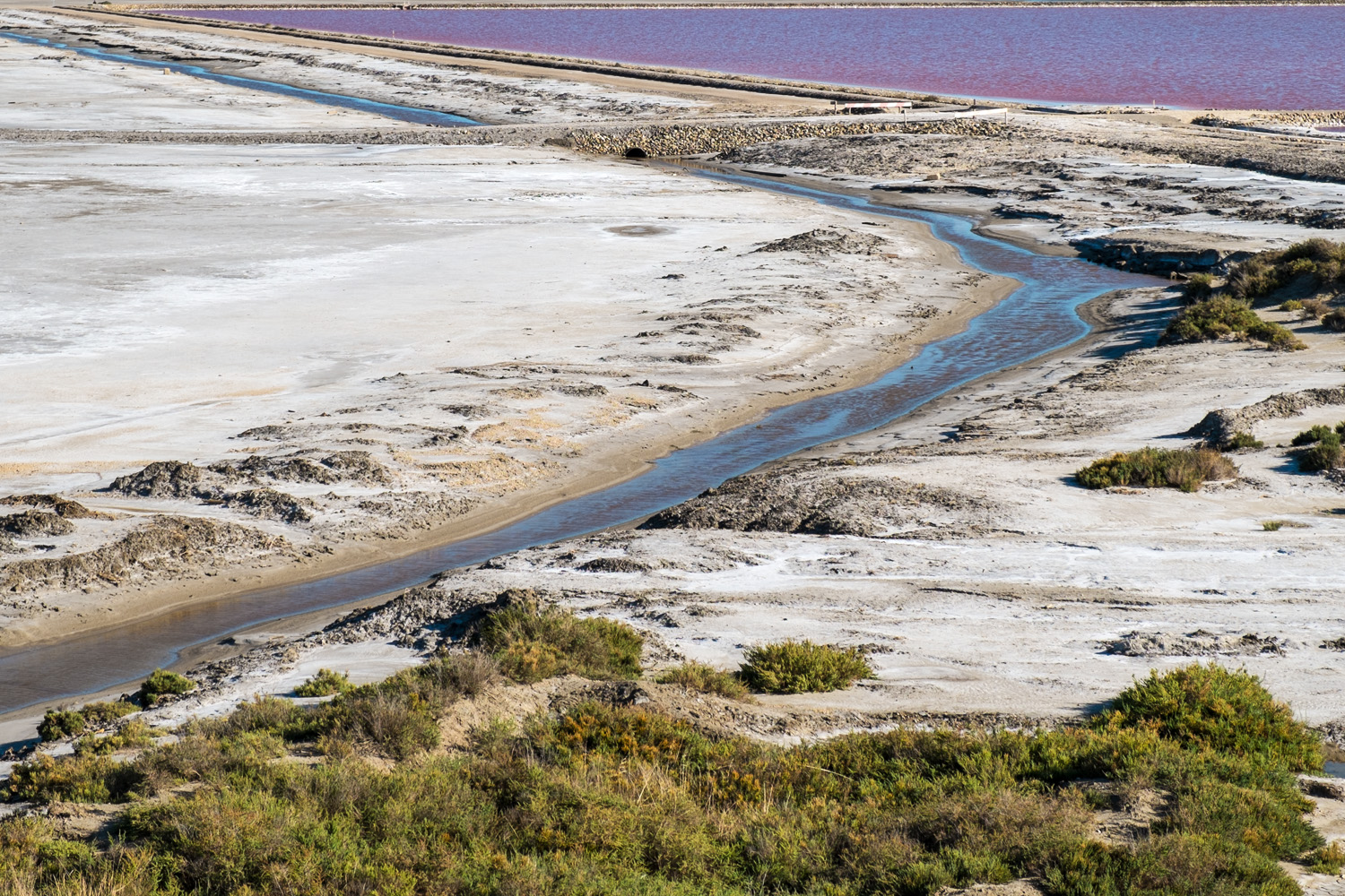 Camargue - Salin De Girau 17/08/2014