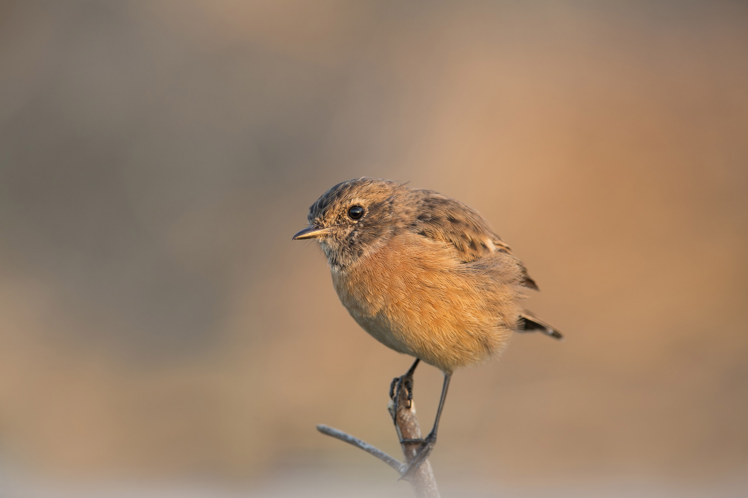 cielo di fuoco...tramonto sull'occhio