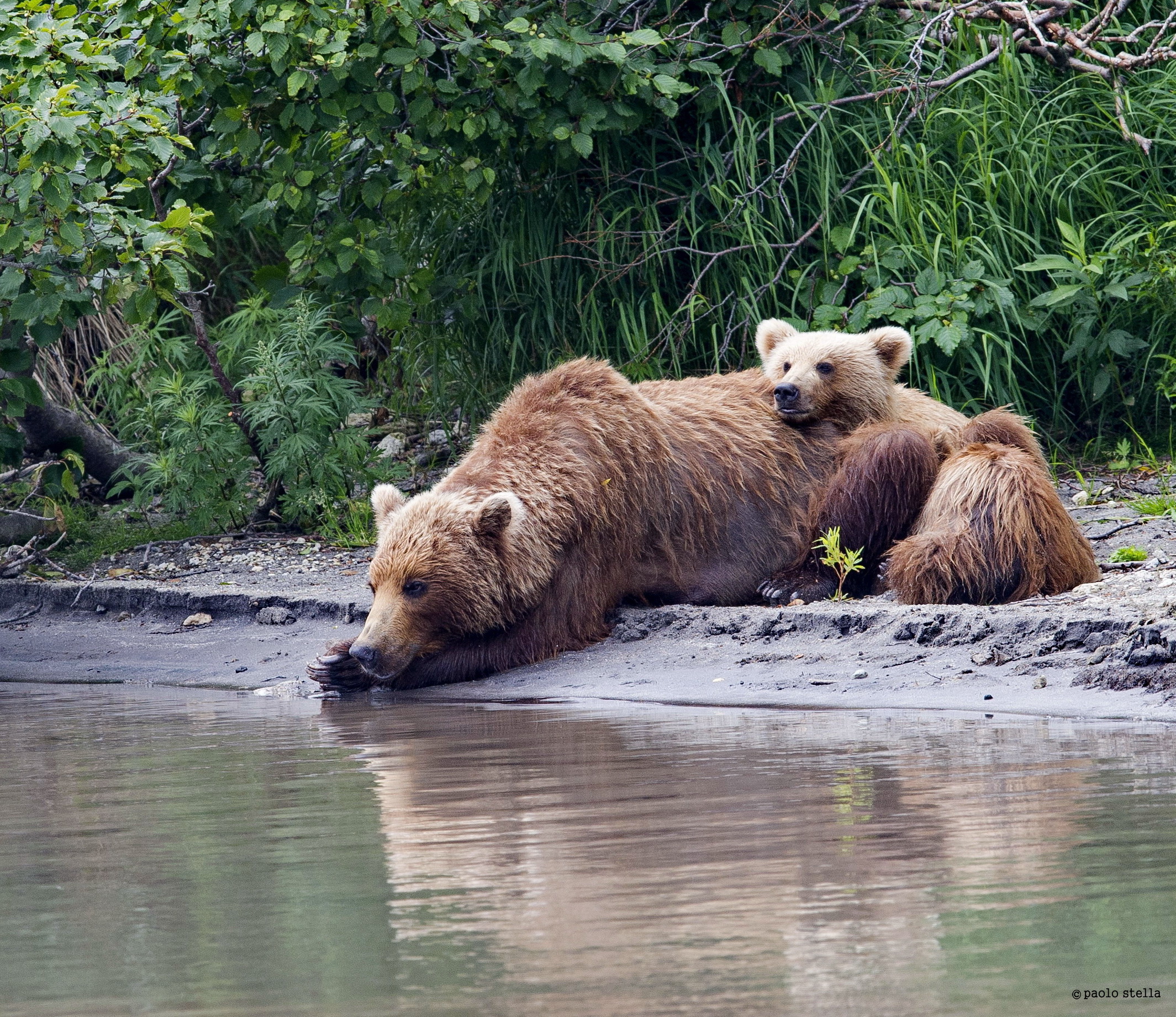 on the shore with mom