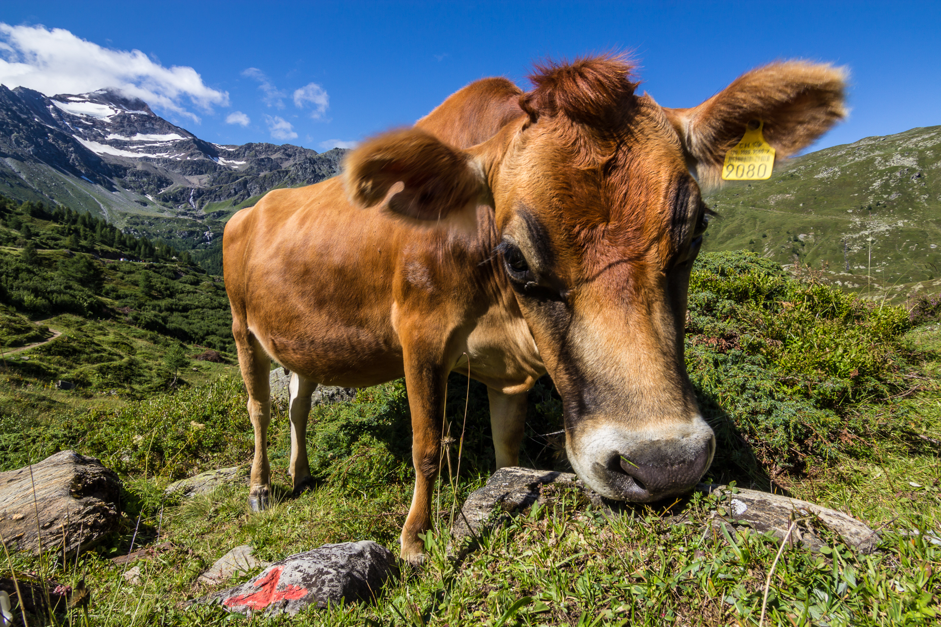 I eat it all myself!